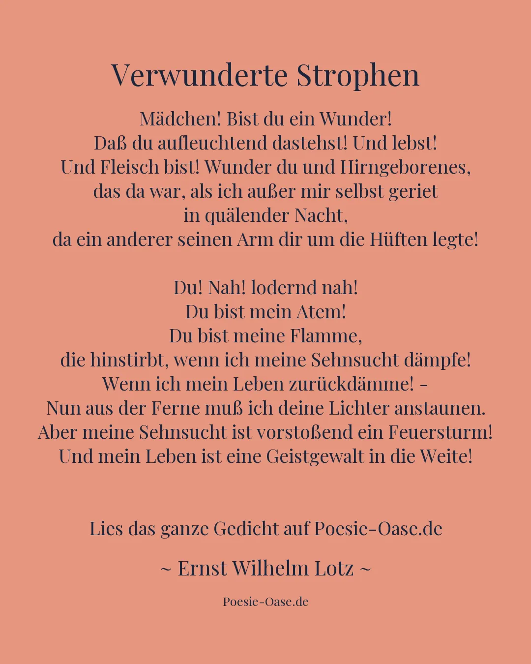 Illustration zu Verwunderte Strophen