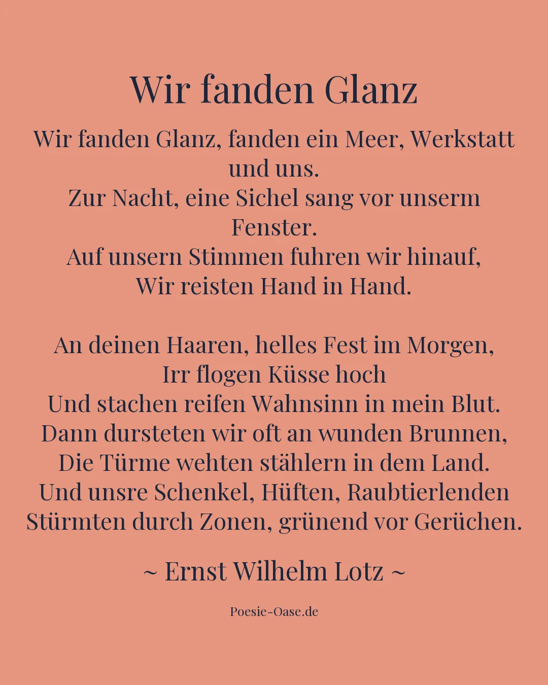 Illustration zu Wir fanden Glanz