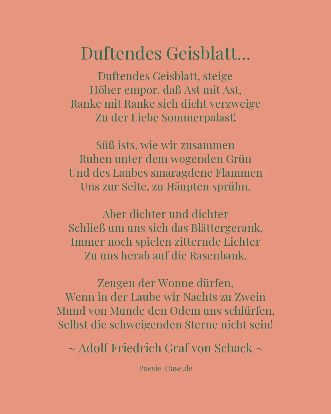 Illustration zu Duftendes Geisblatt...