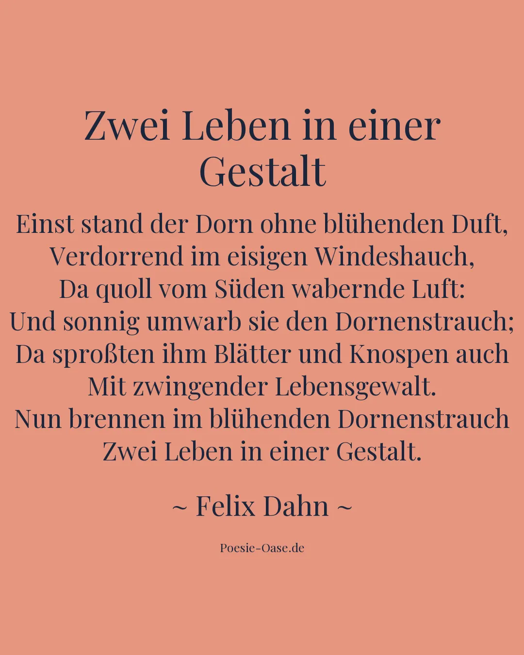Illustration zu Zwei Leben in einer Gestalt