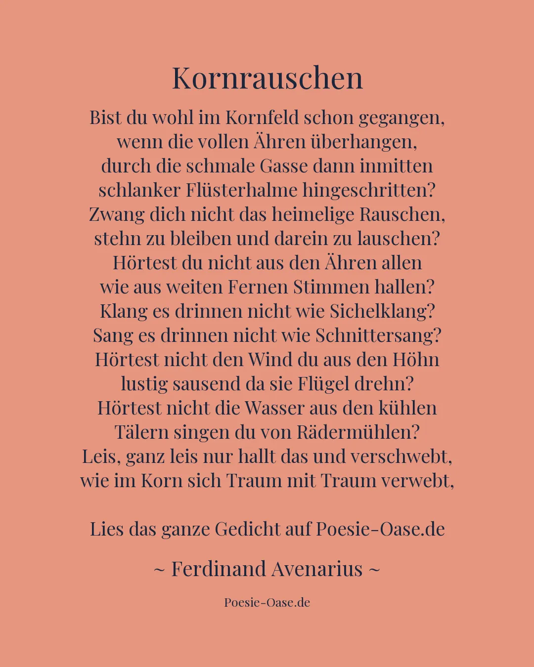 Illustration zu Kornrauschen