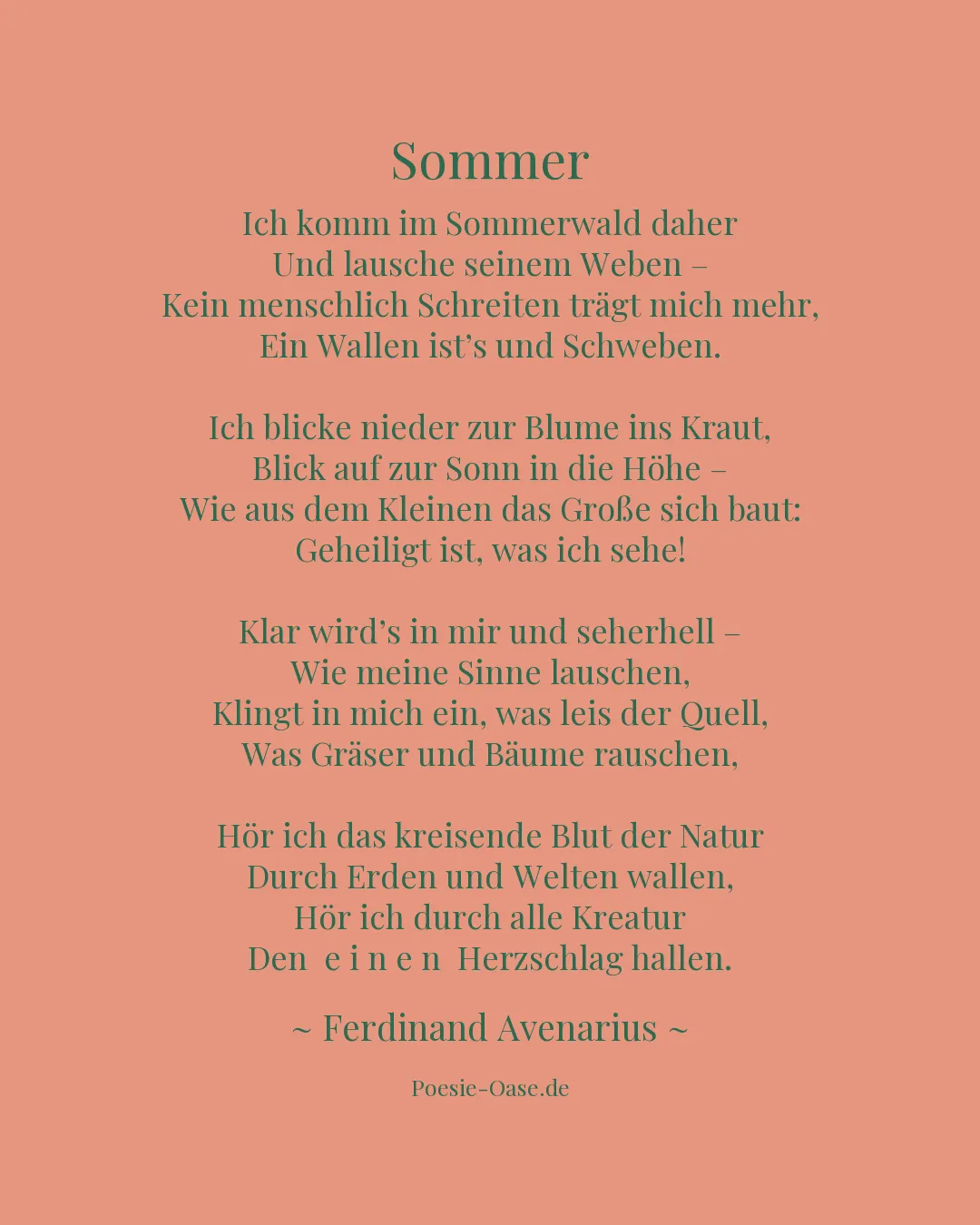 Illustration zu Sommer