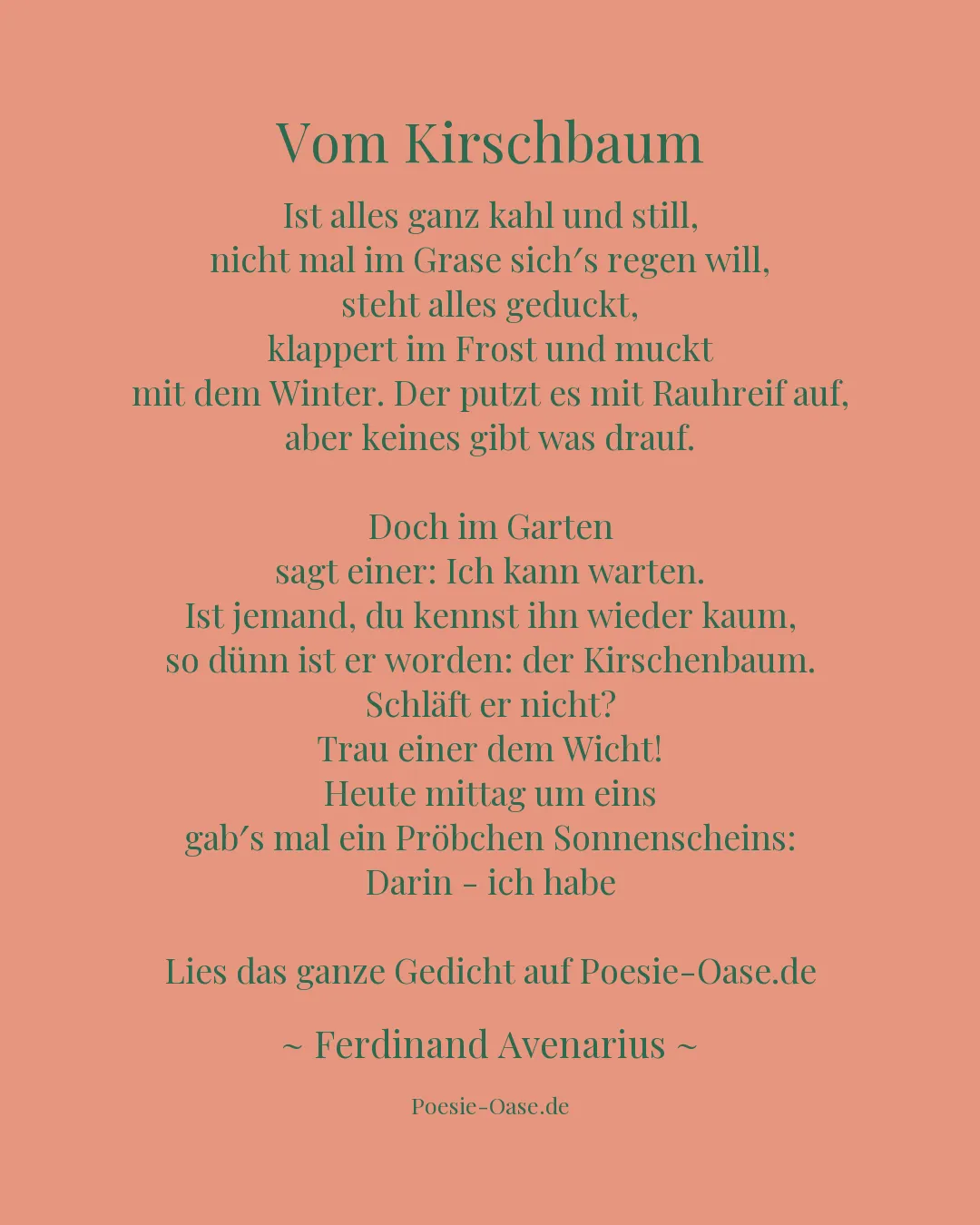 Illustration zu Vom Kirschbaum
