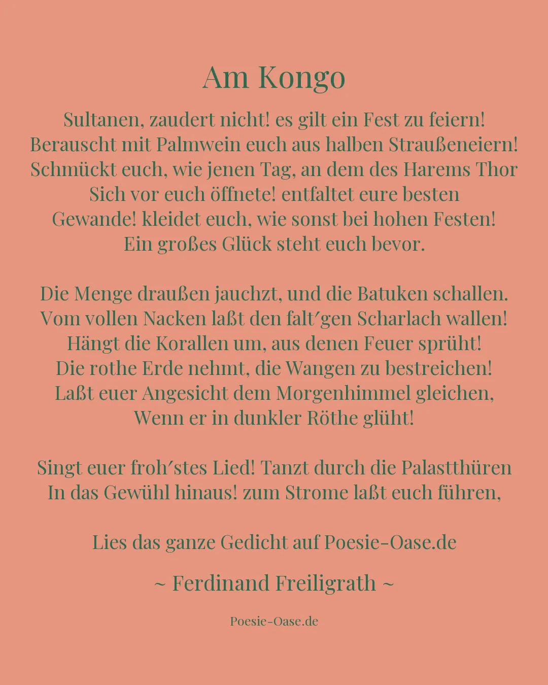 Illustration zu Am Kongo