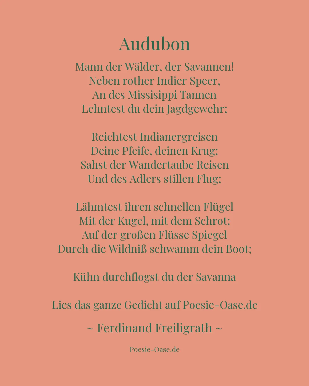 Illustration zu Audubon