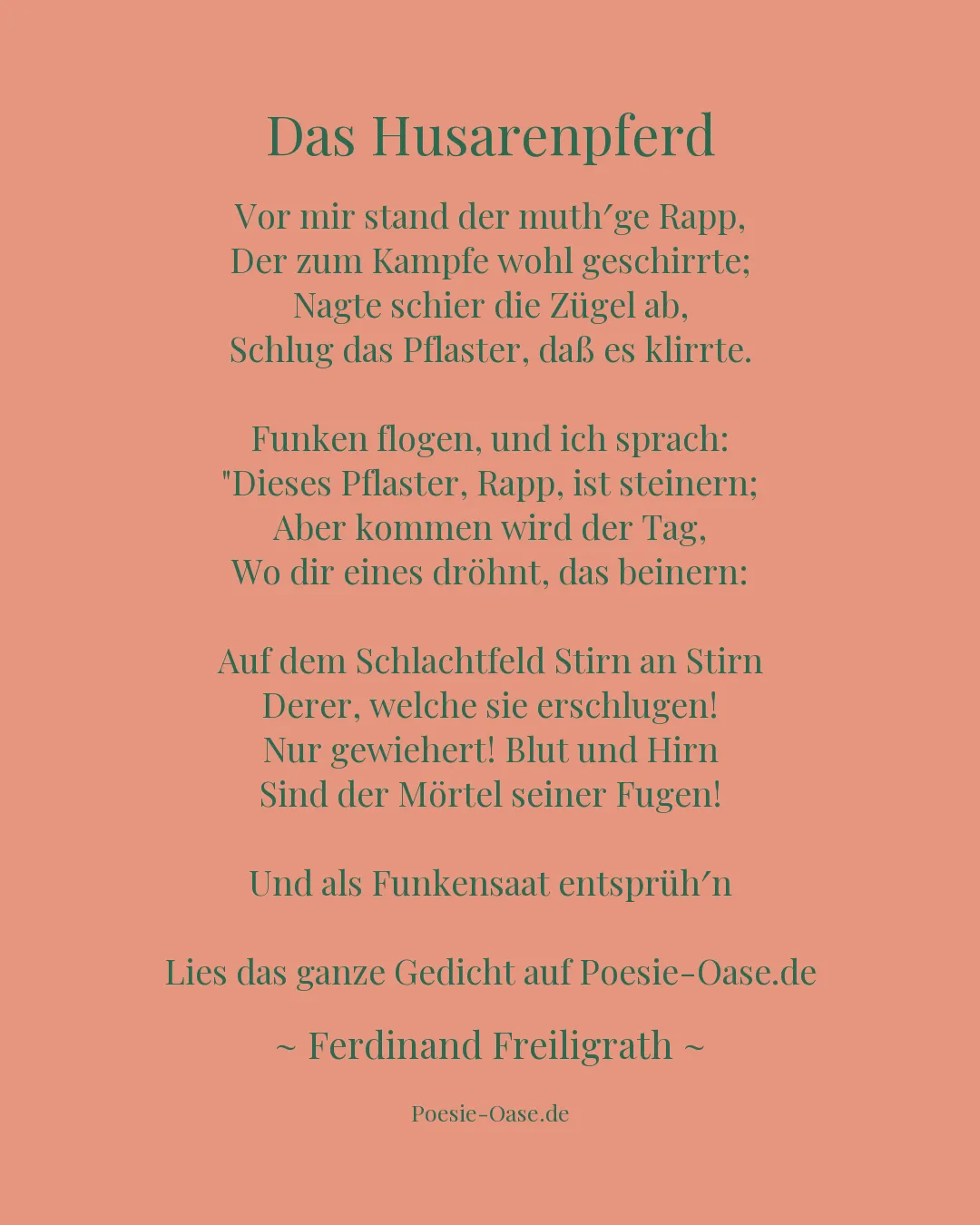 Illustration zu Das Husarenpferd