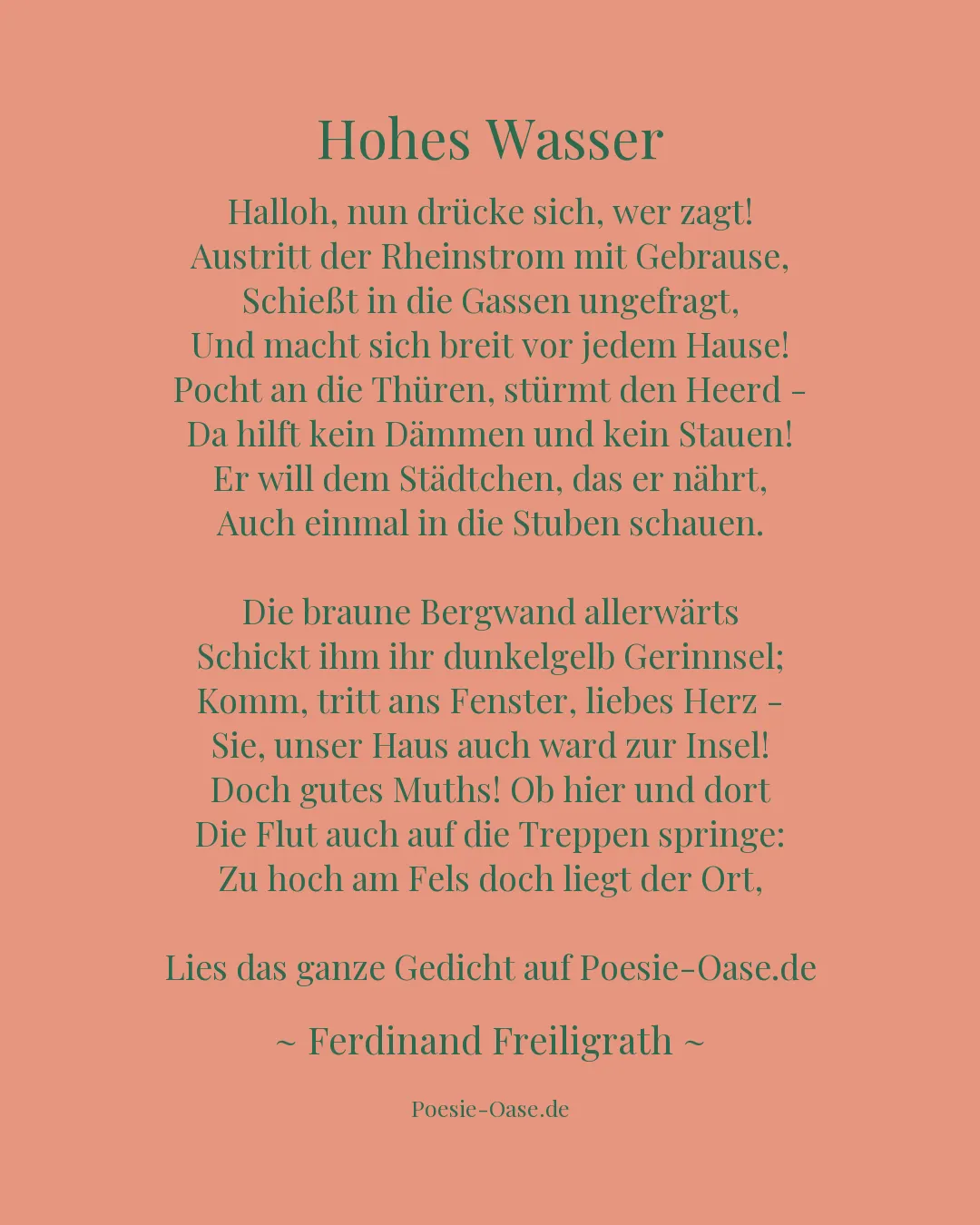 Illustration zu Hohes Wasser