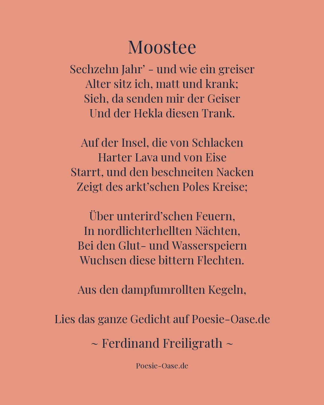 Illustration zu Moostee