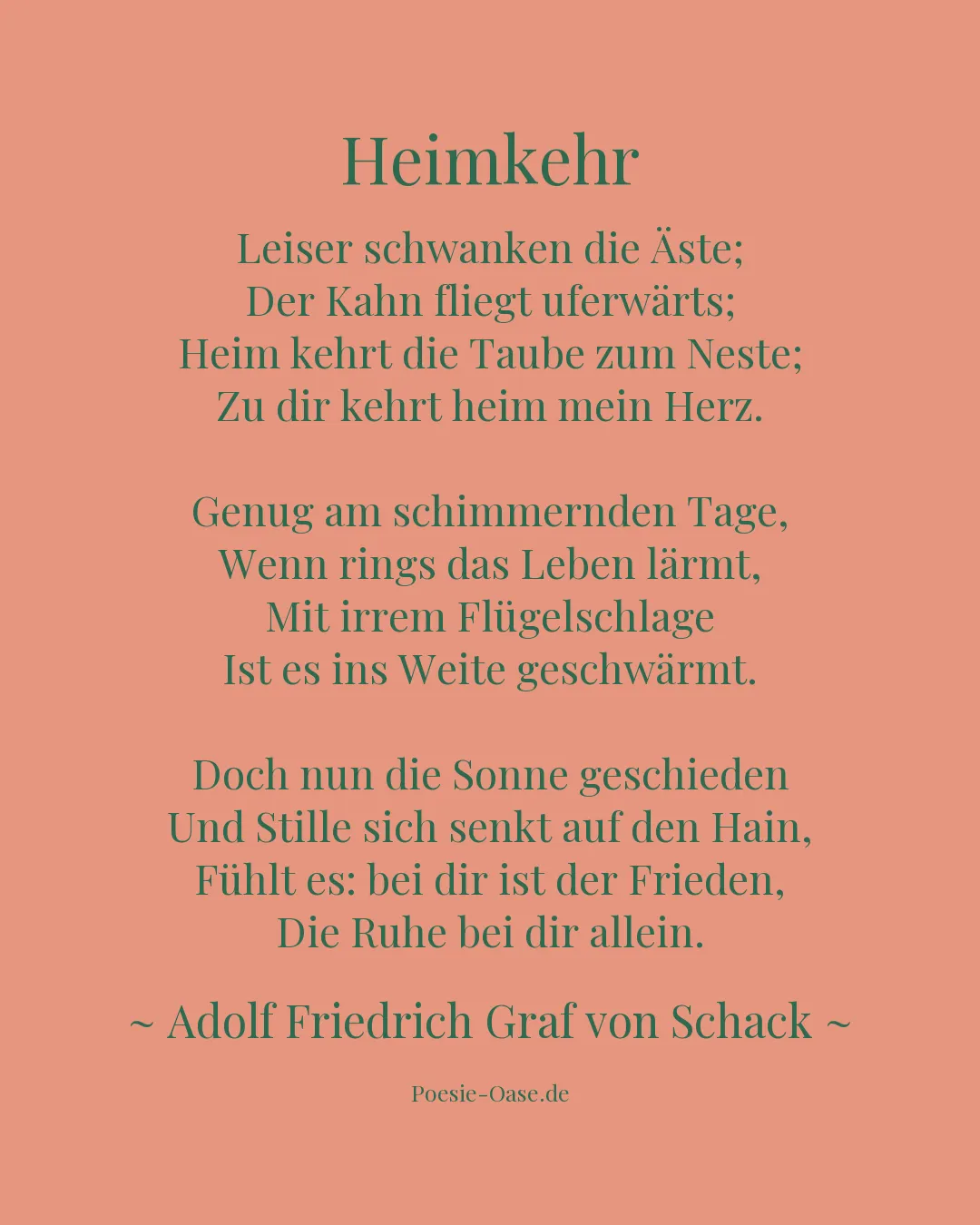Illustration zu Heimkehr