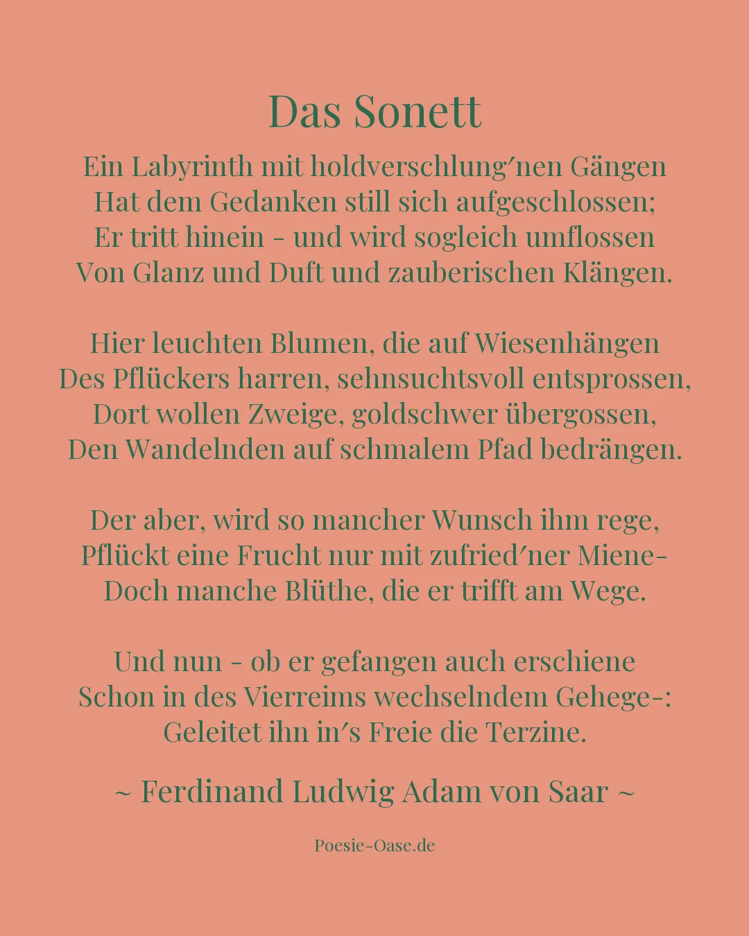 Illustration zu Das Sonett