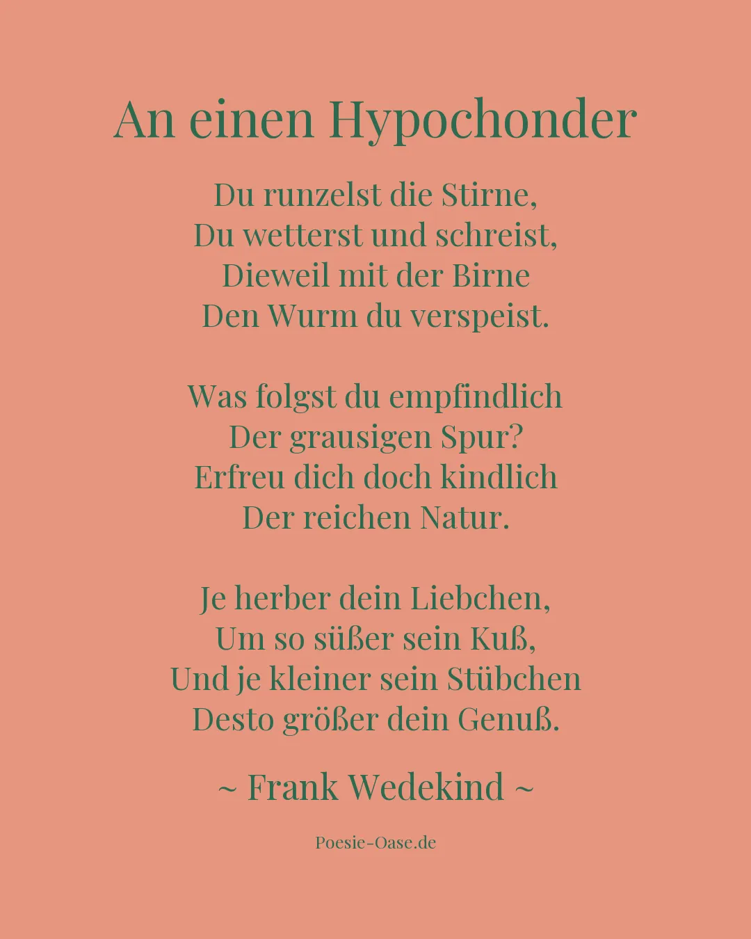 Illustration zu An einen Hypochonder