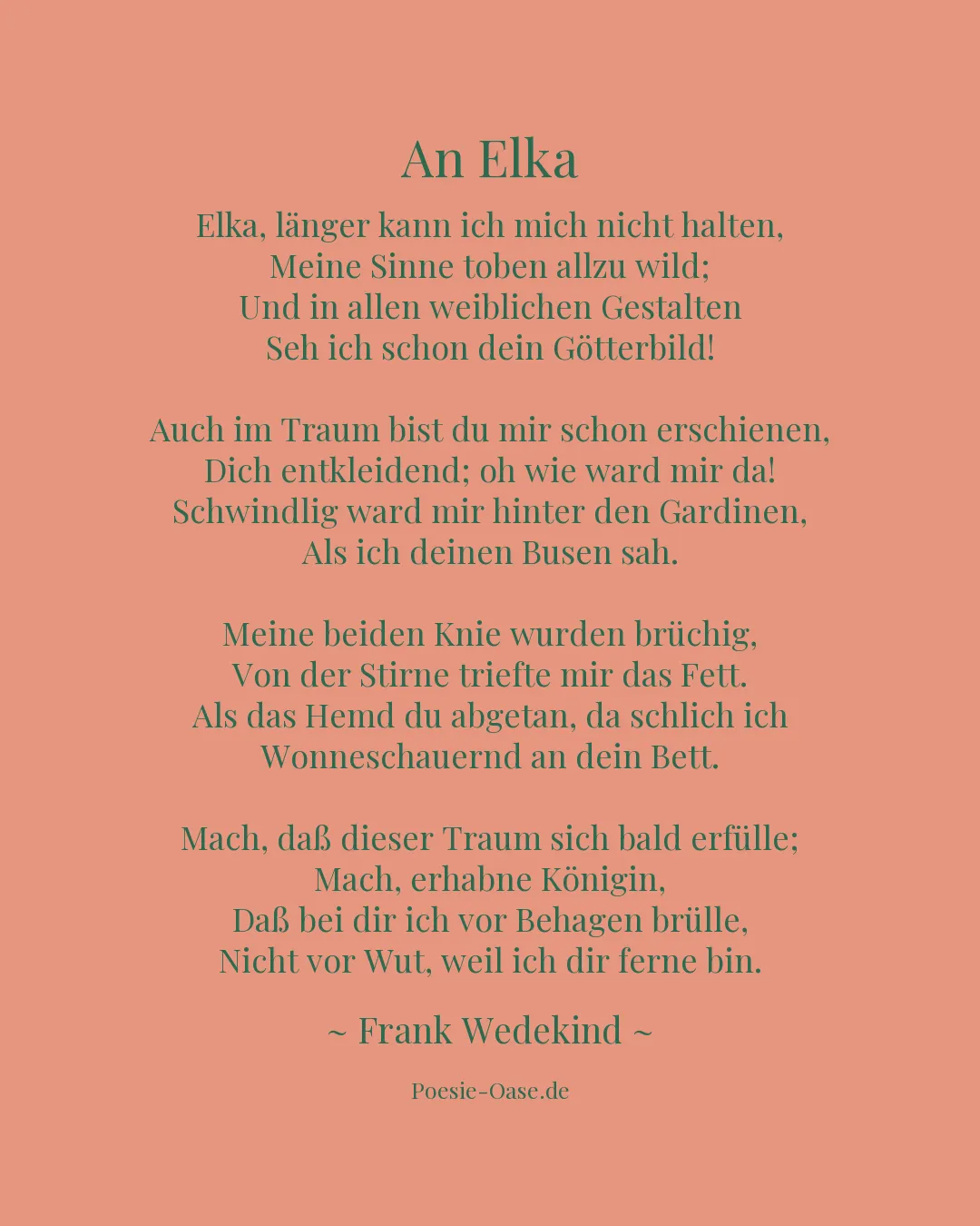 Illustration zu An Elka