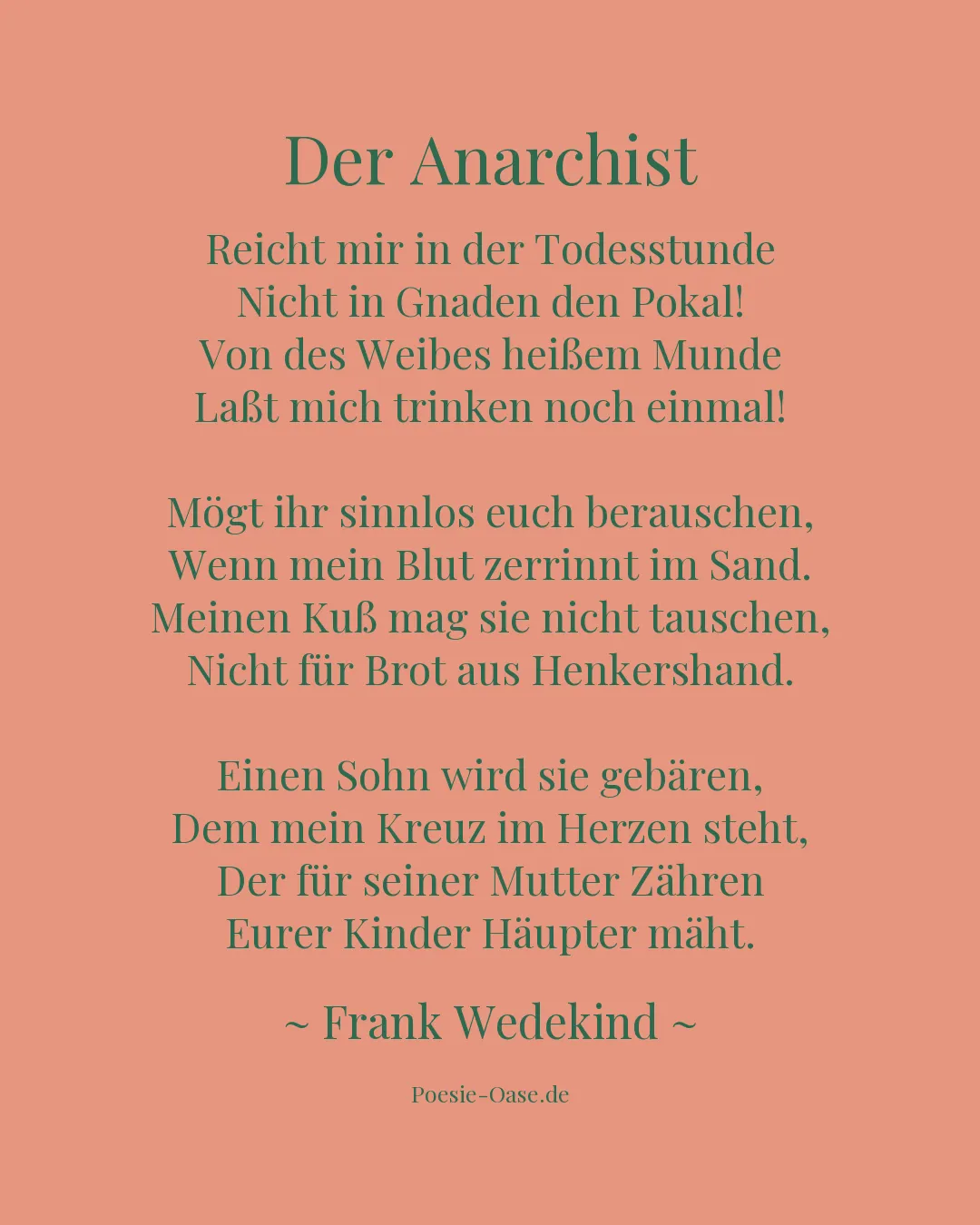 Illustration zu Der Anarchist