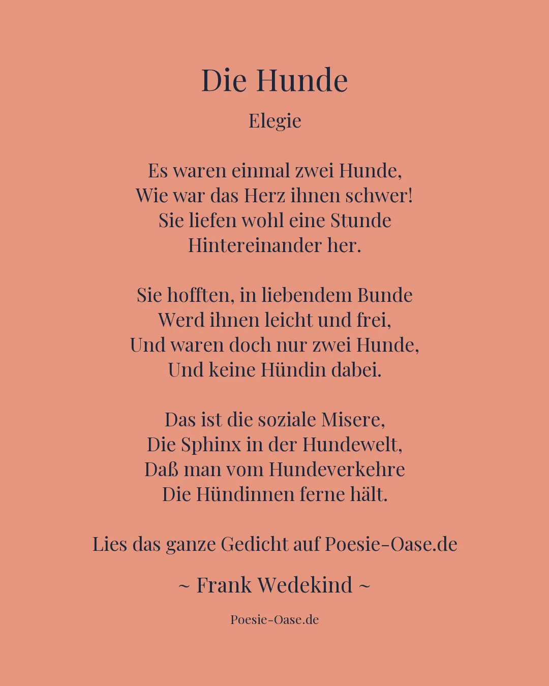 Illustration zu Die Hunde
