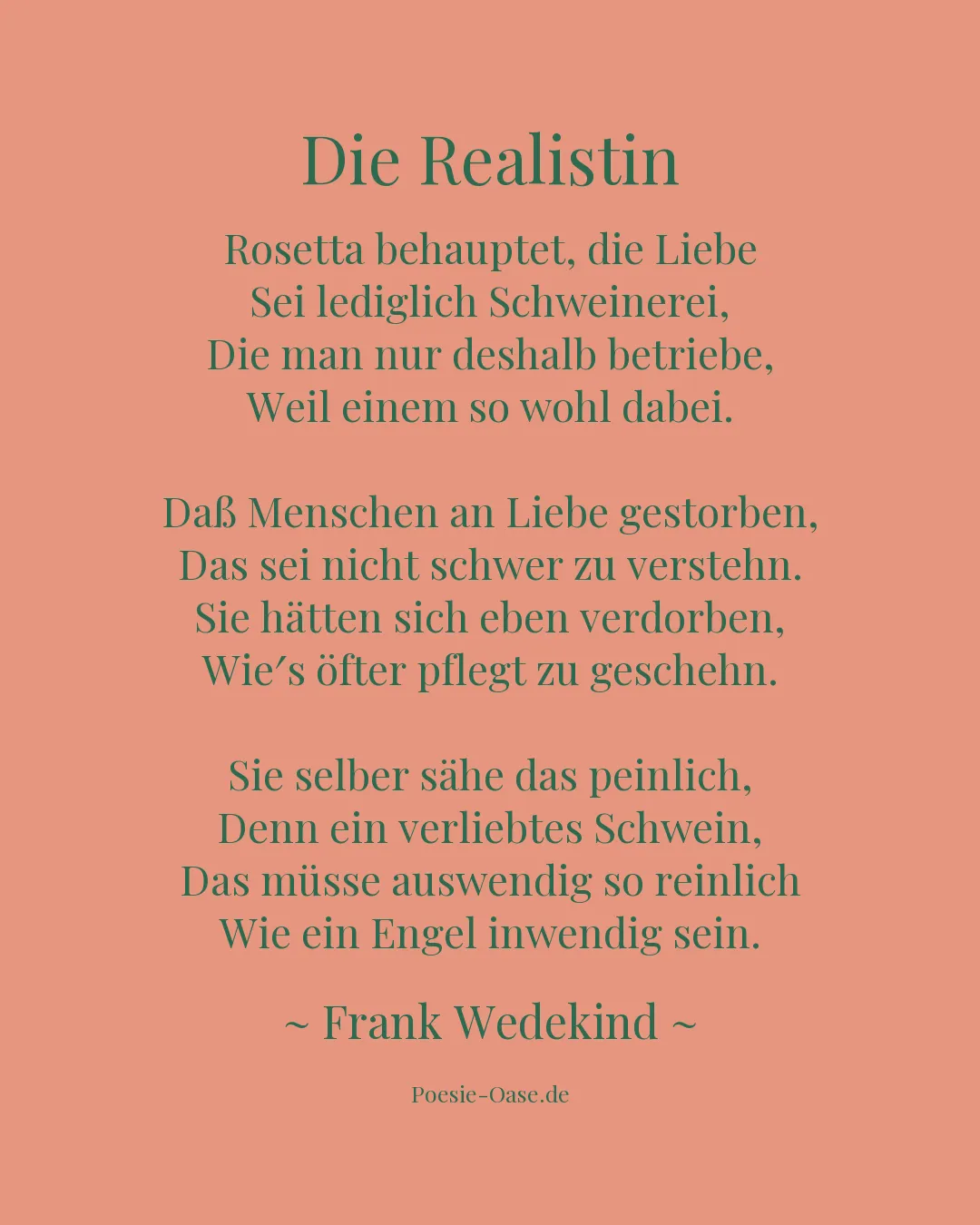 Illustration zu Die Realistin