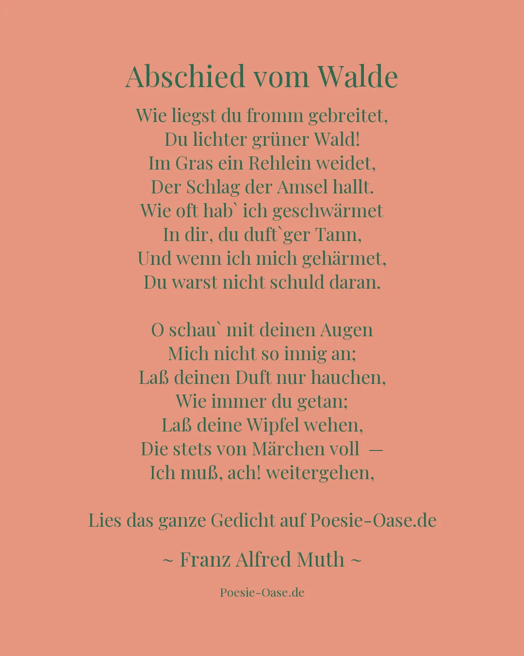 Illustration zu Abschied vom Walde