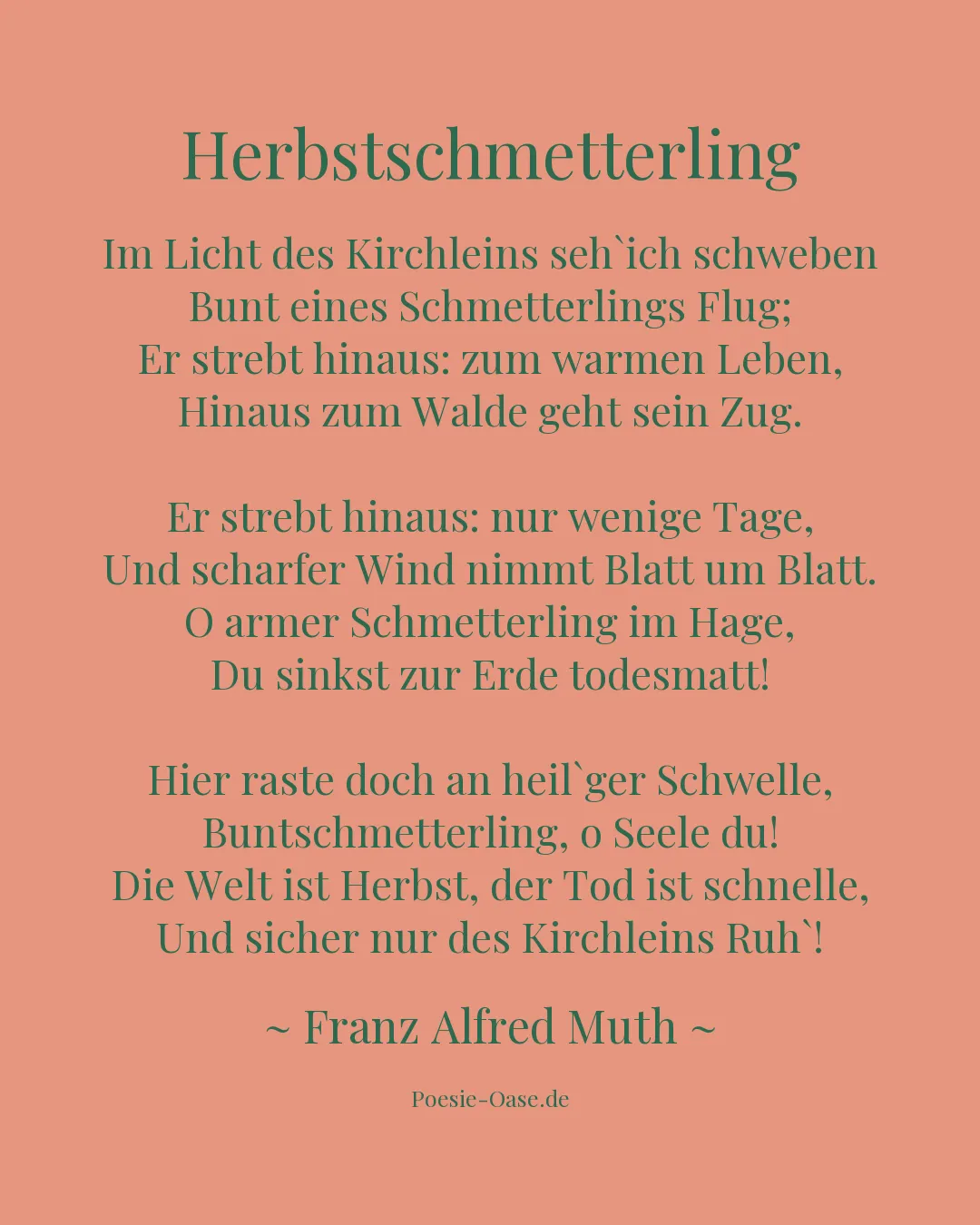 Illustration zu Herbstschmetterling