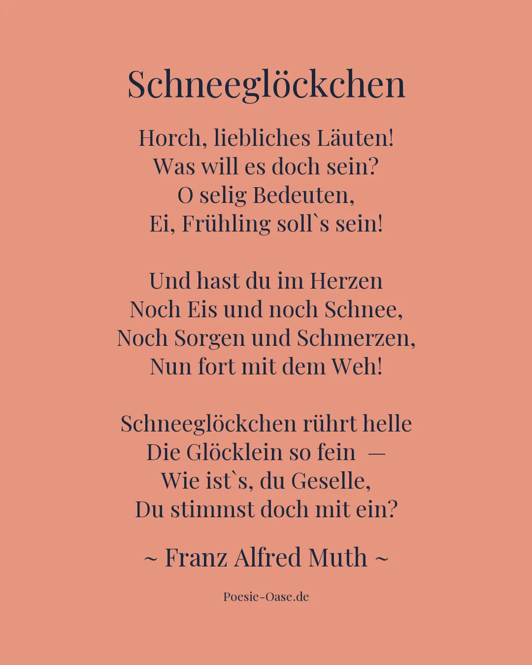 Illustration zu Schneeglöckchen
