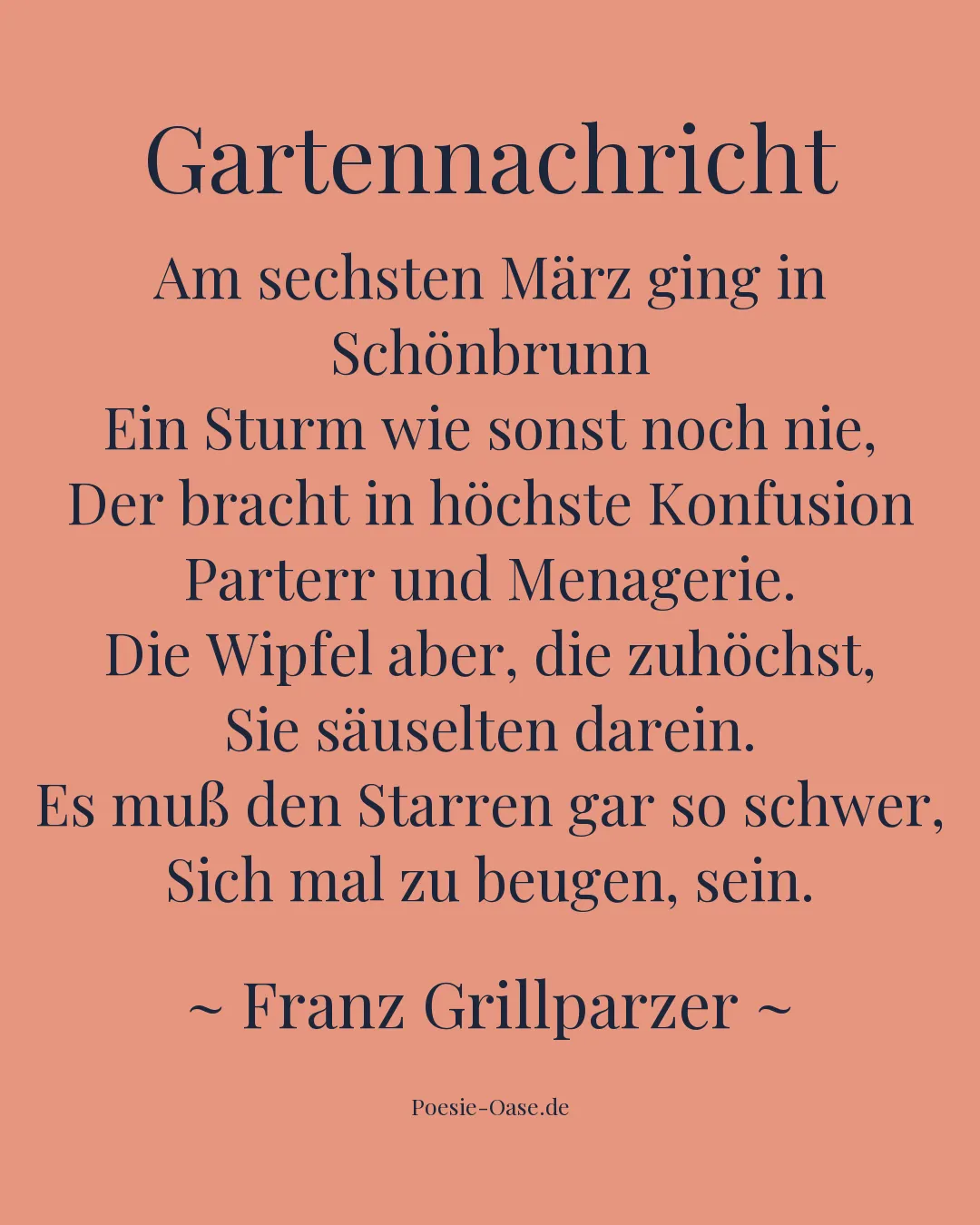 Illustration zu Gartennachricht
