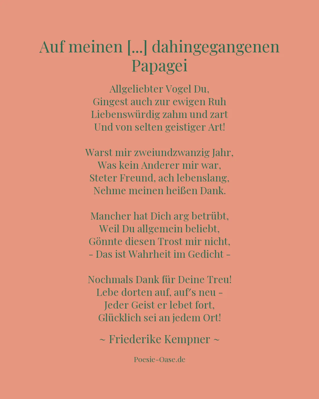 Illustration zu Auf meinen [...] dahingegangenen Papagei