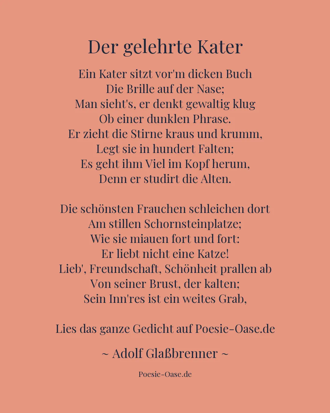 Illustration zu Der gelehrte Kater