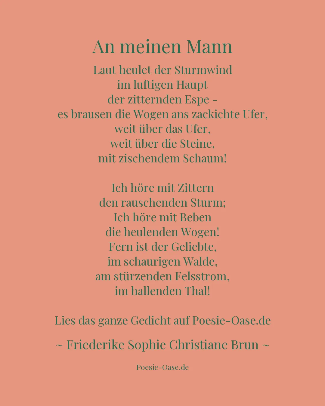 Illustration zu An meinen Mann