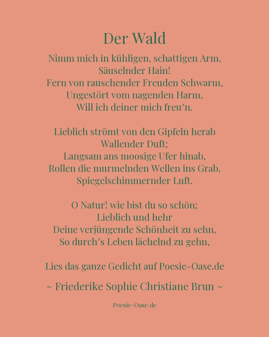 Illustration zu Der Wald