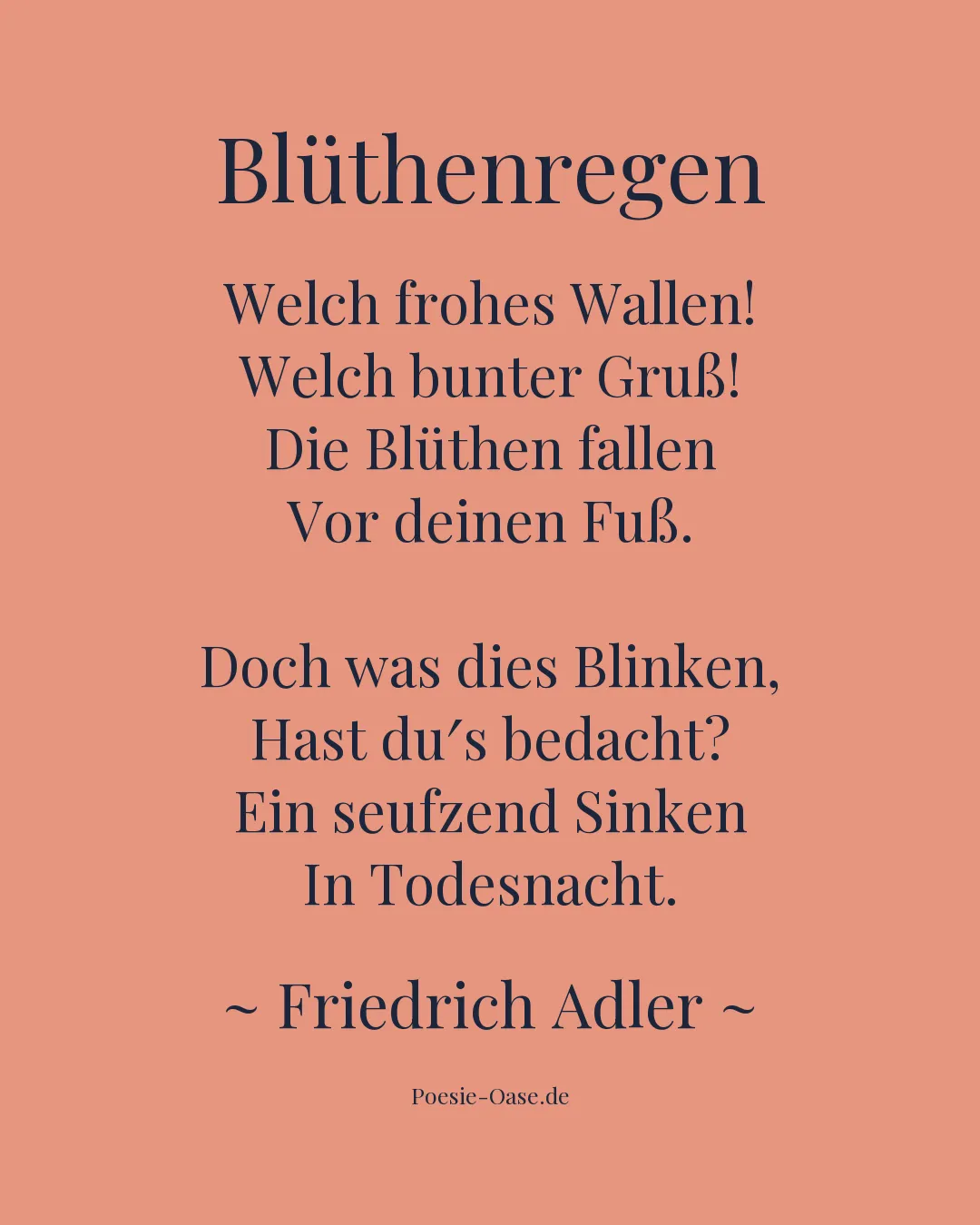Illustration zu Blüthenregen