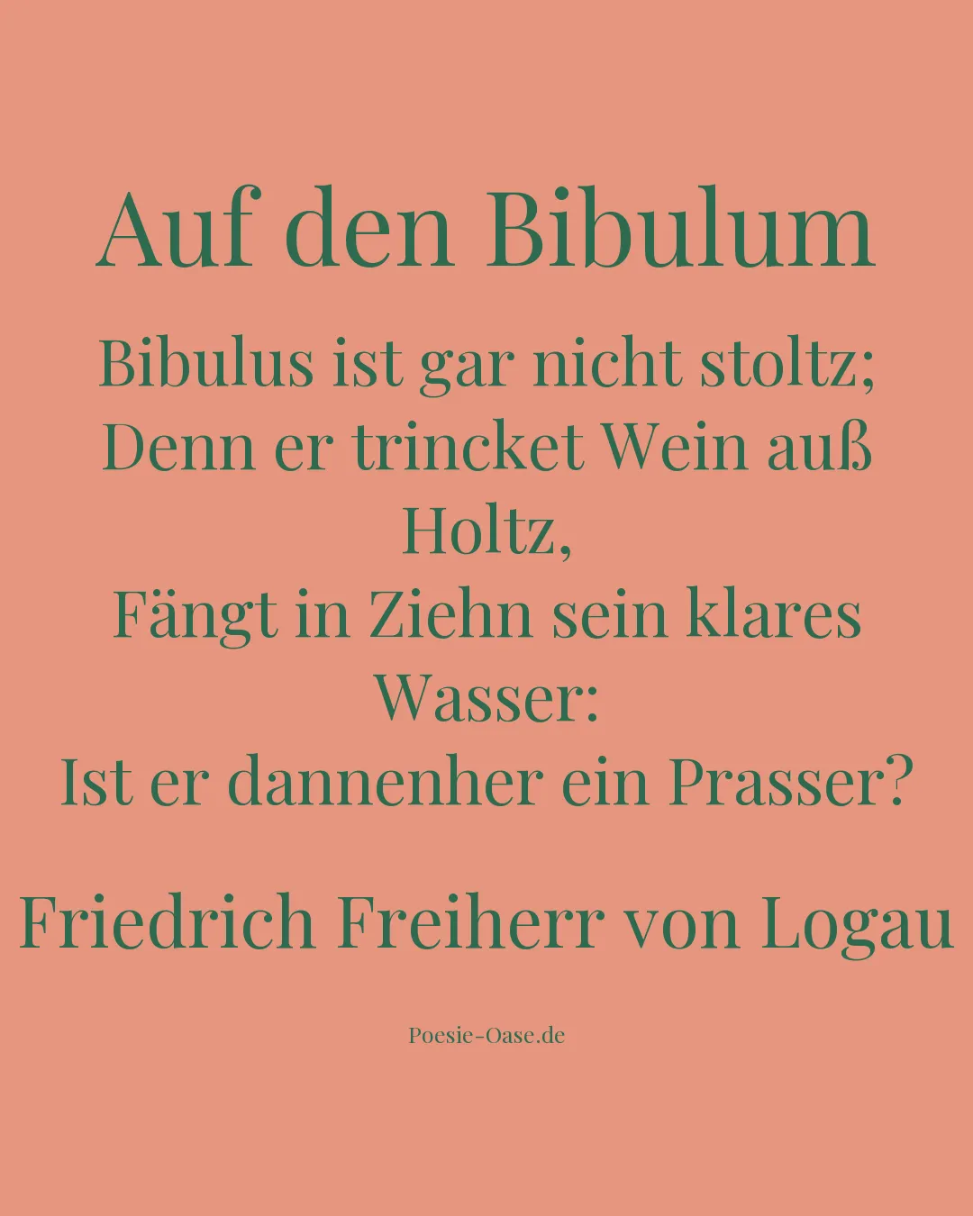 Illustration zu Auf den Bibulum