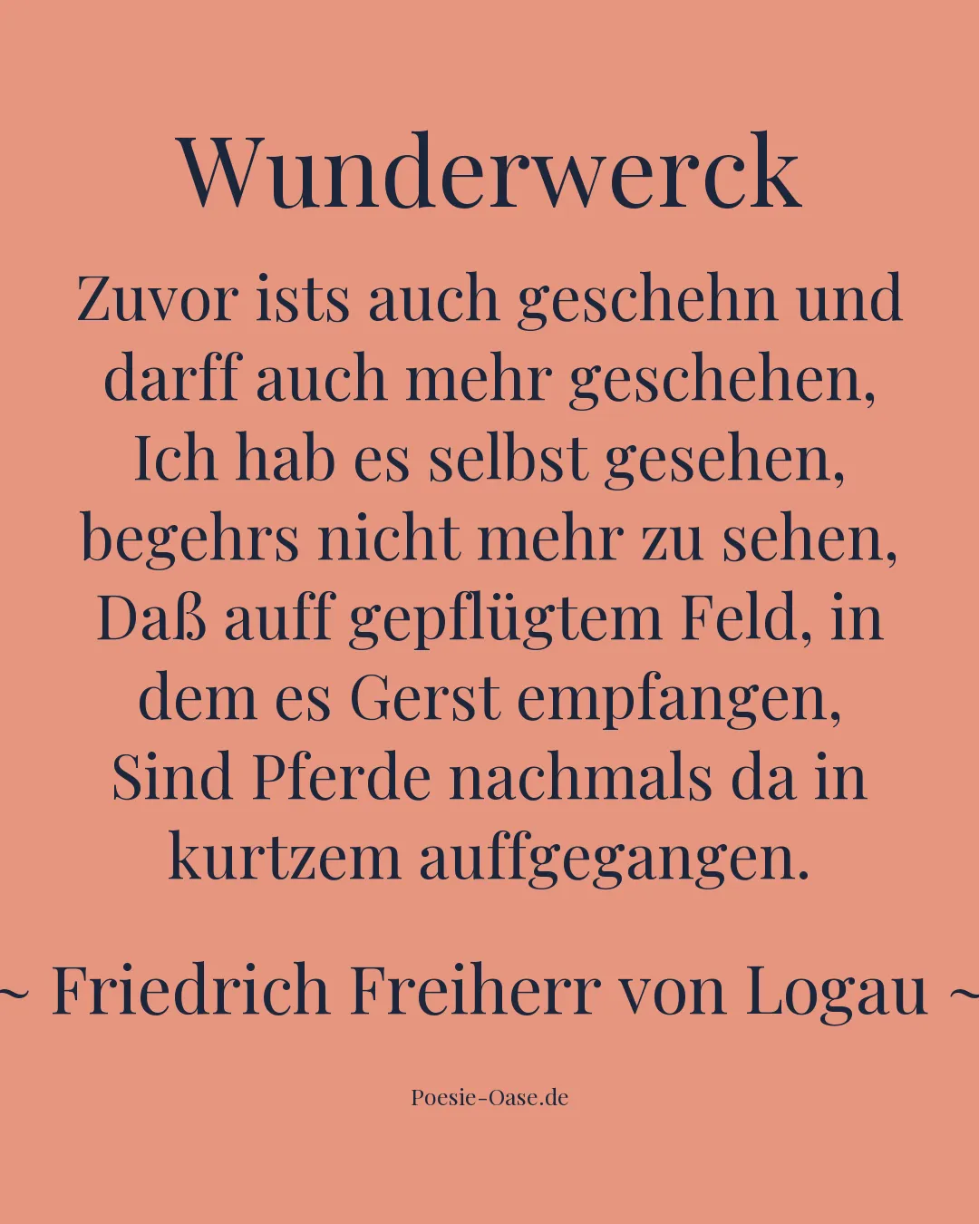 Illustration zu Wunderwerck