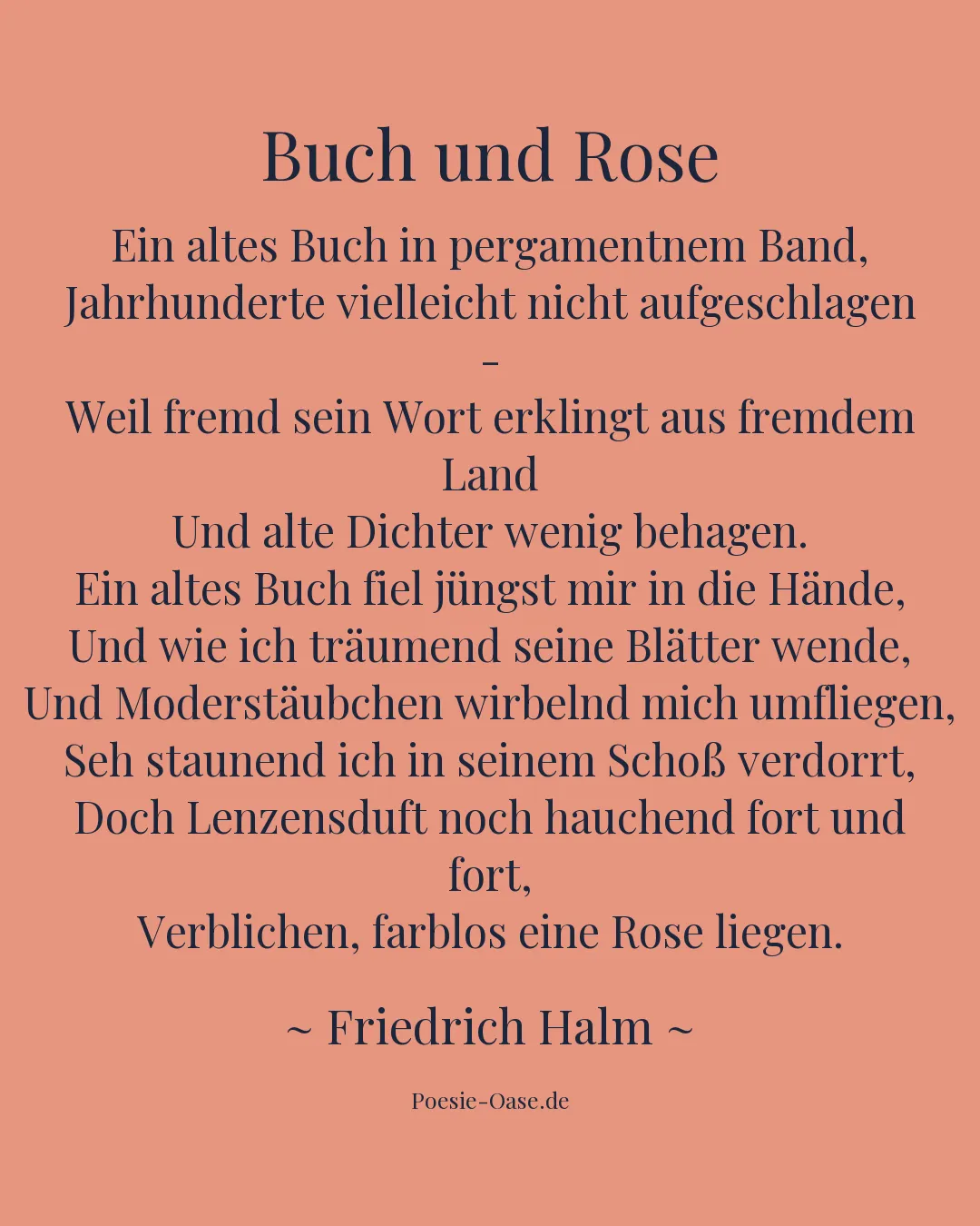 Illustration zu Buch und Rose