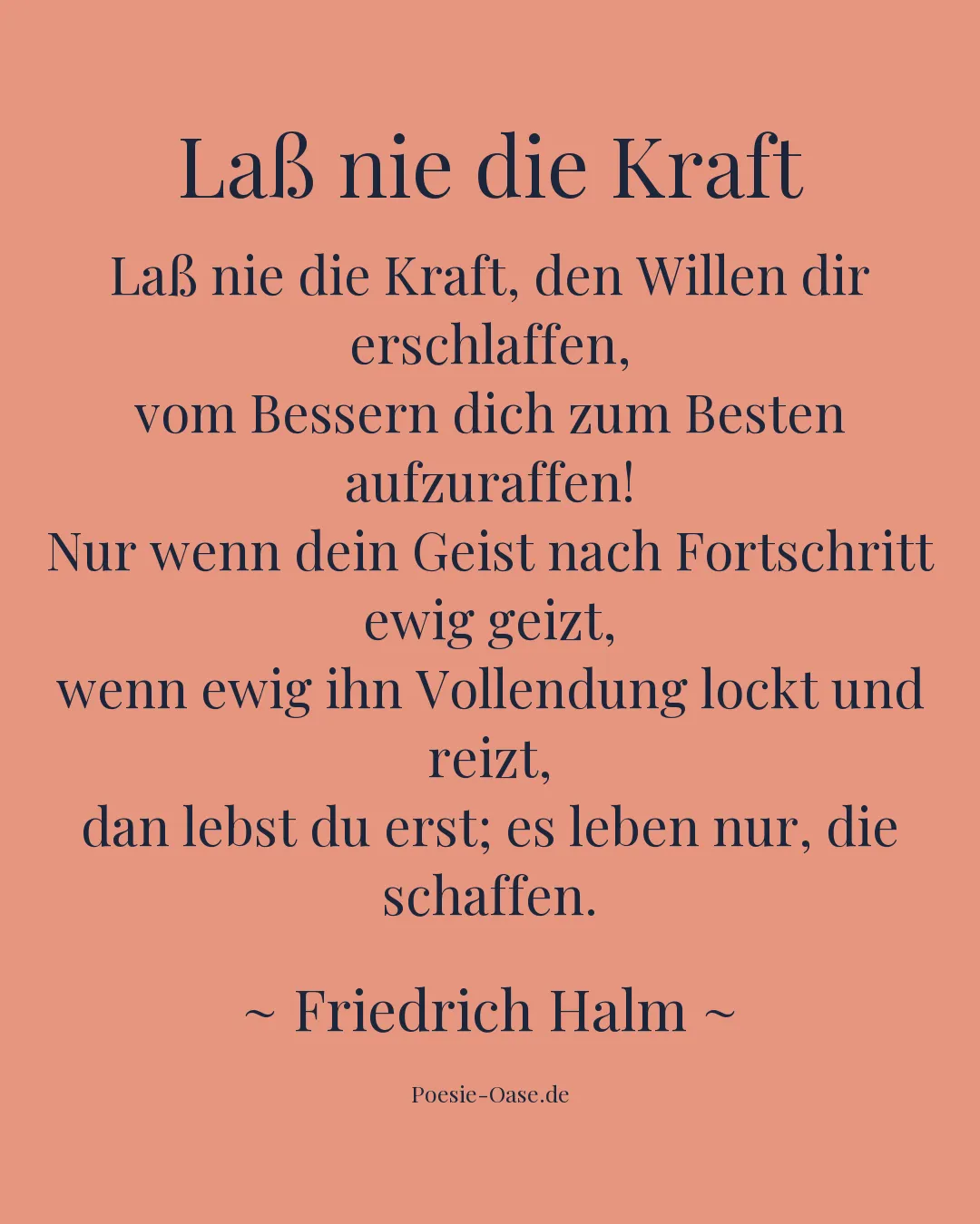 Illustration zu Laß nie die Kraft