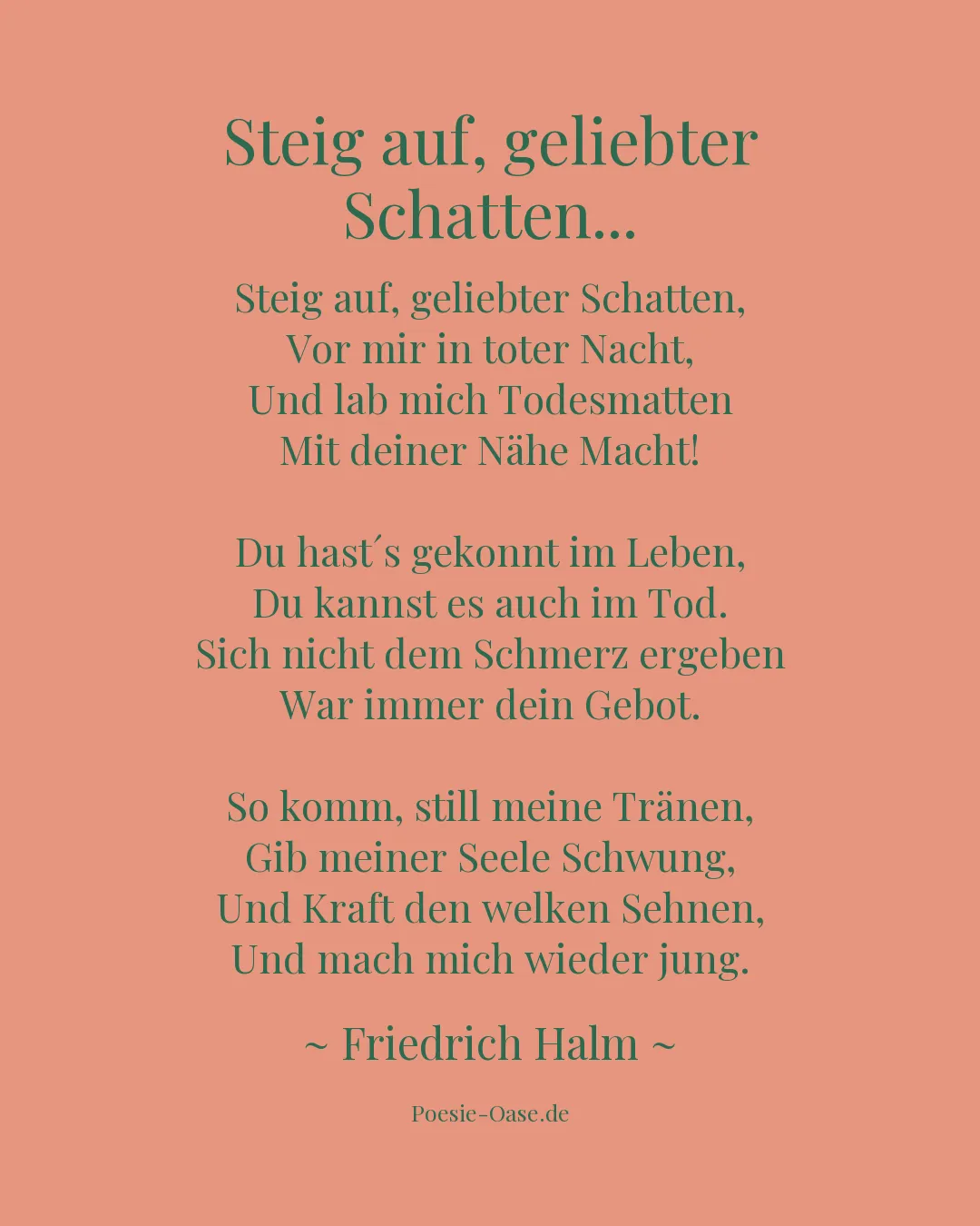 Illustration zu Steig auf, geliebter Schatten...