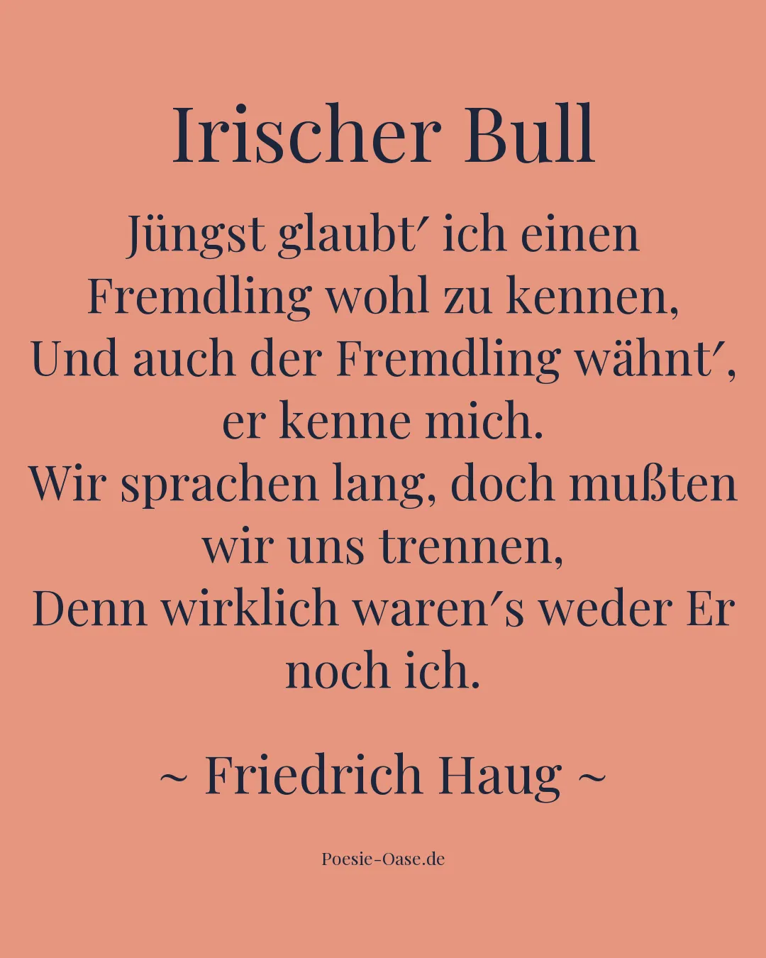 Illustration zu Irischer Bull