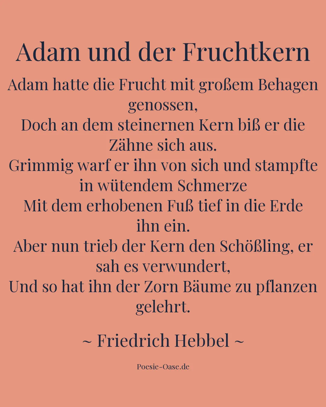 Illustration zu Adam und der Fruchtkern