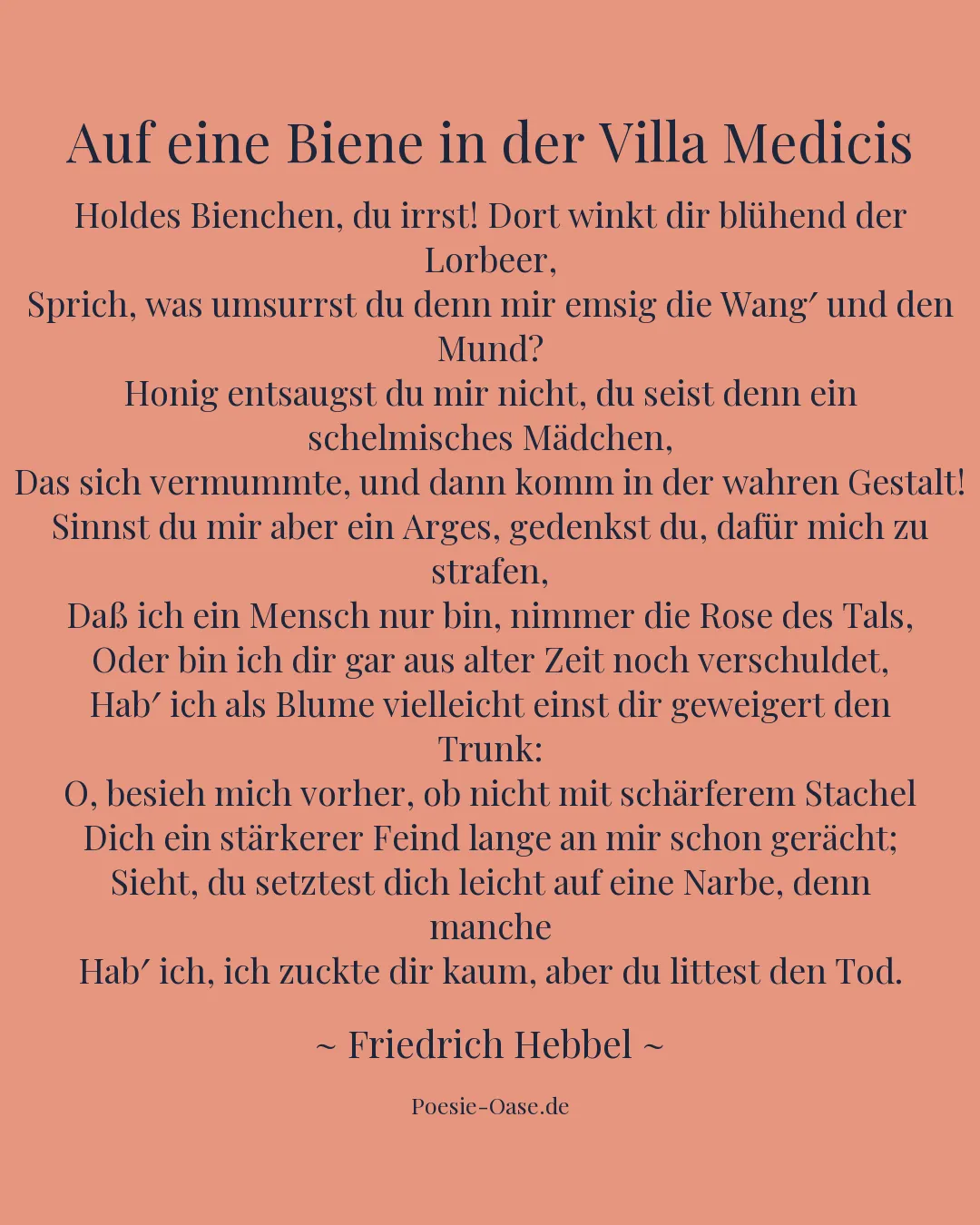 Illustration zu Auf eine Biene in der Villa Medicis