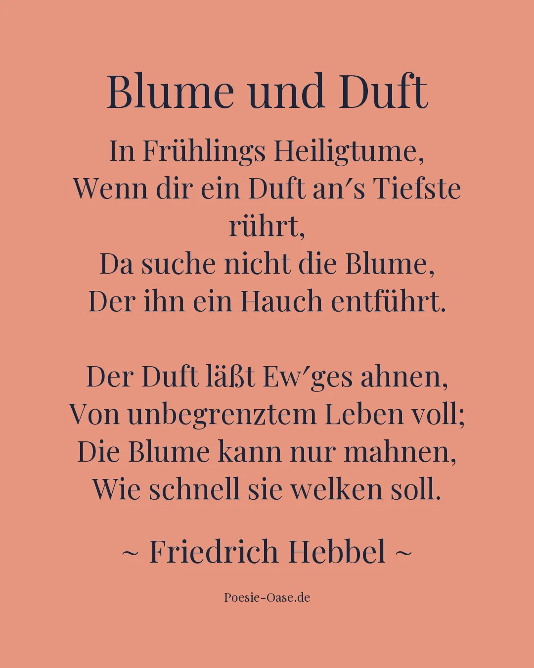 Illustration zu Blume und Duft