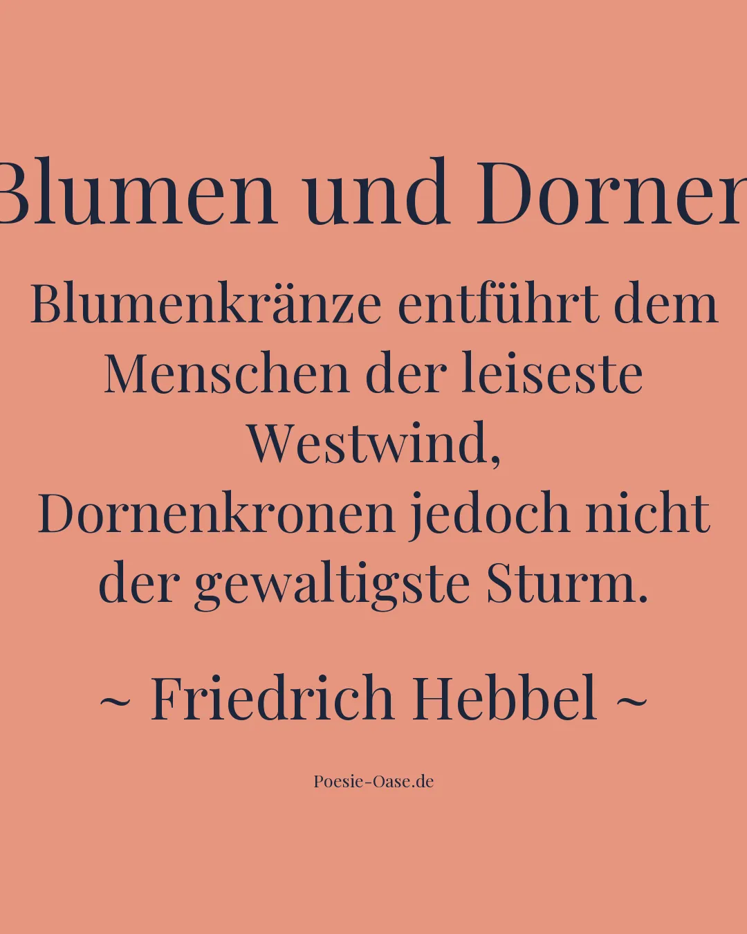 Illustration zu Blumen und Dornen