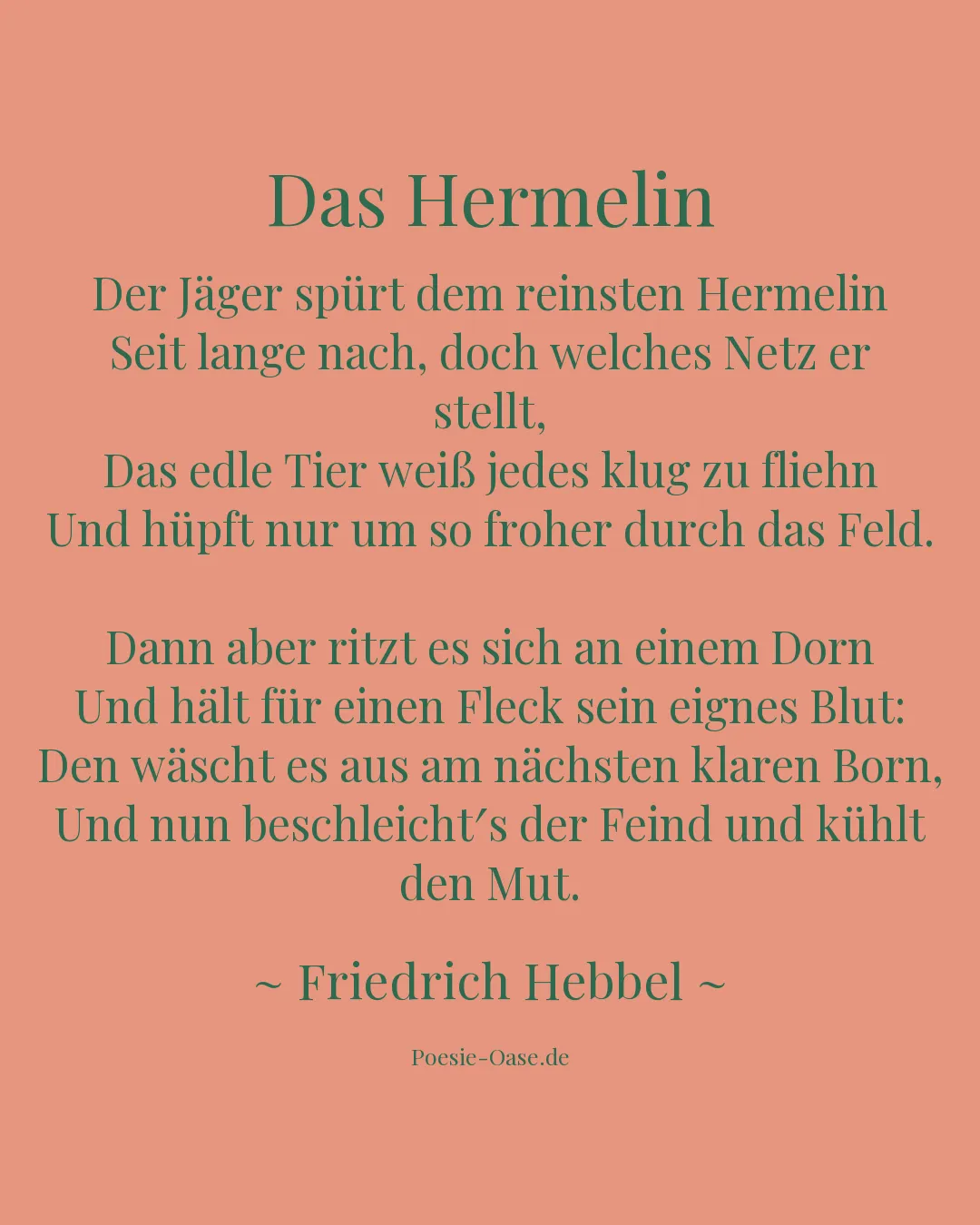 Illustration zu Das Hermelin