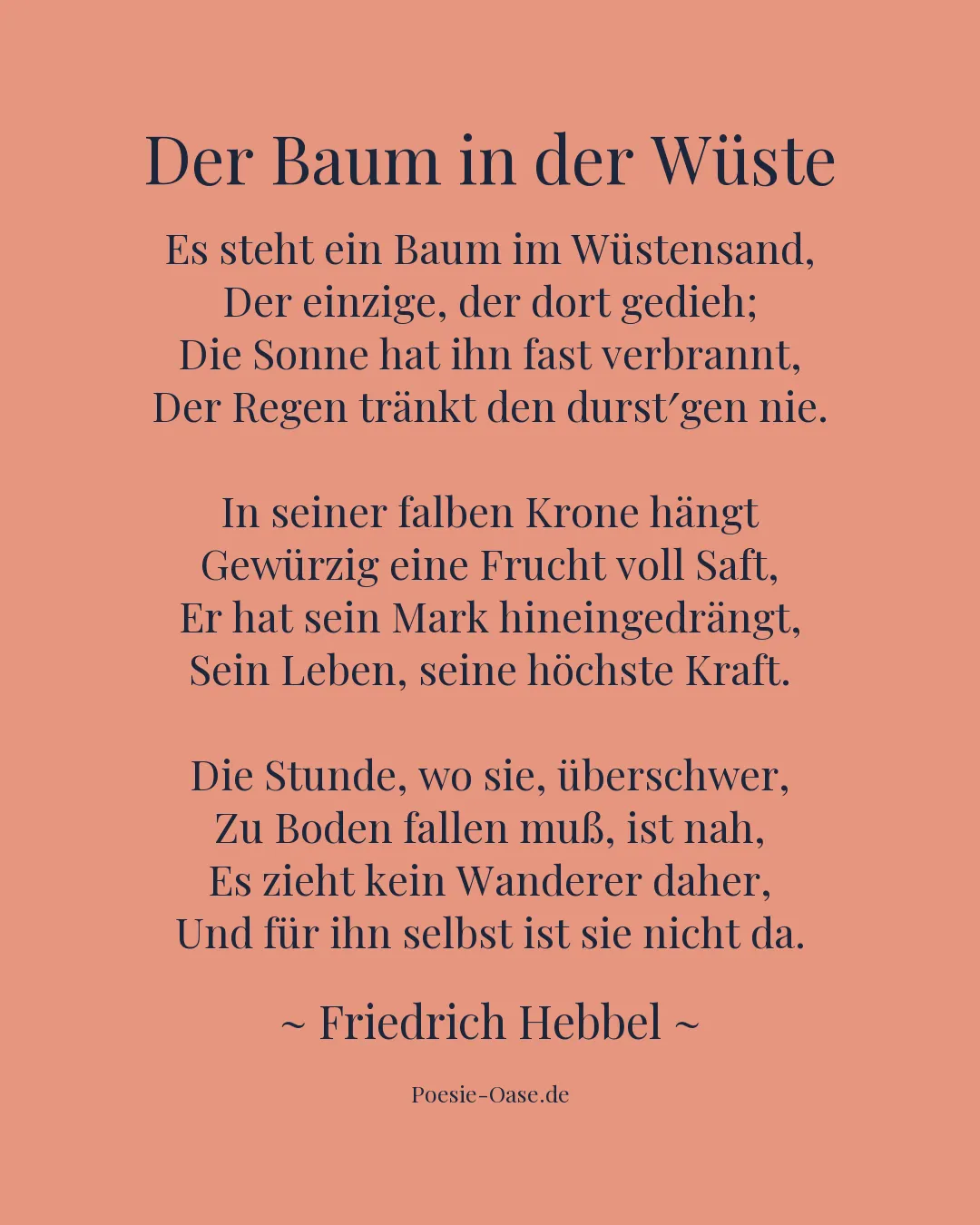 Illustration zu Der Baum in der Wüste