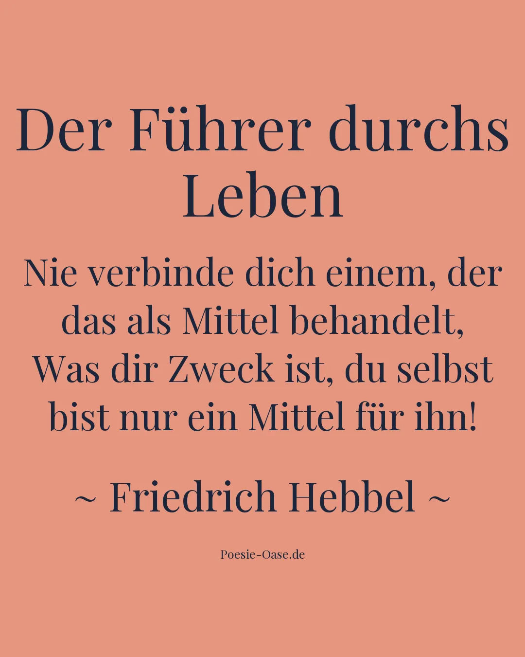 Illustration zu Der Führer durchs Leben