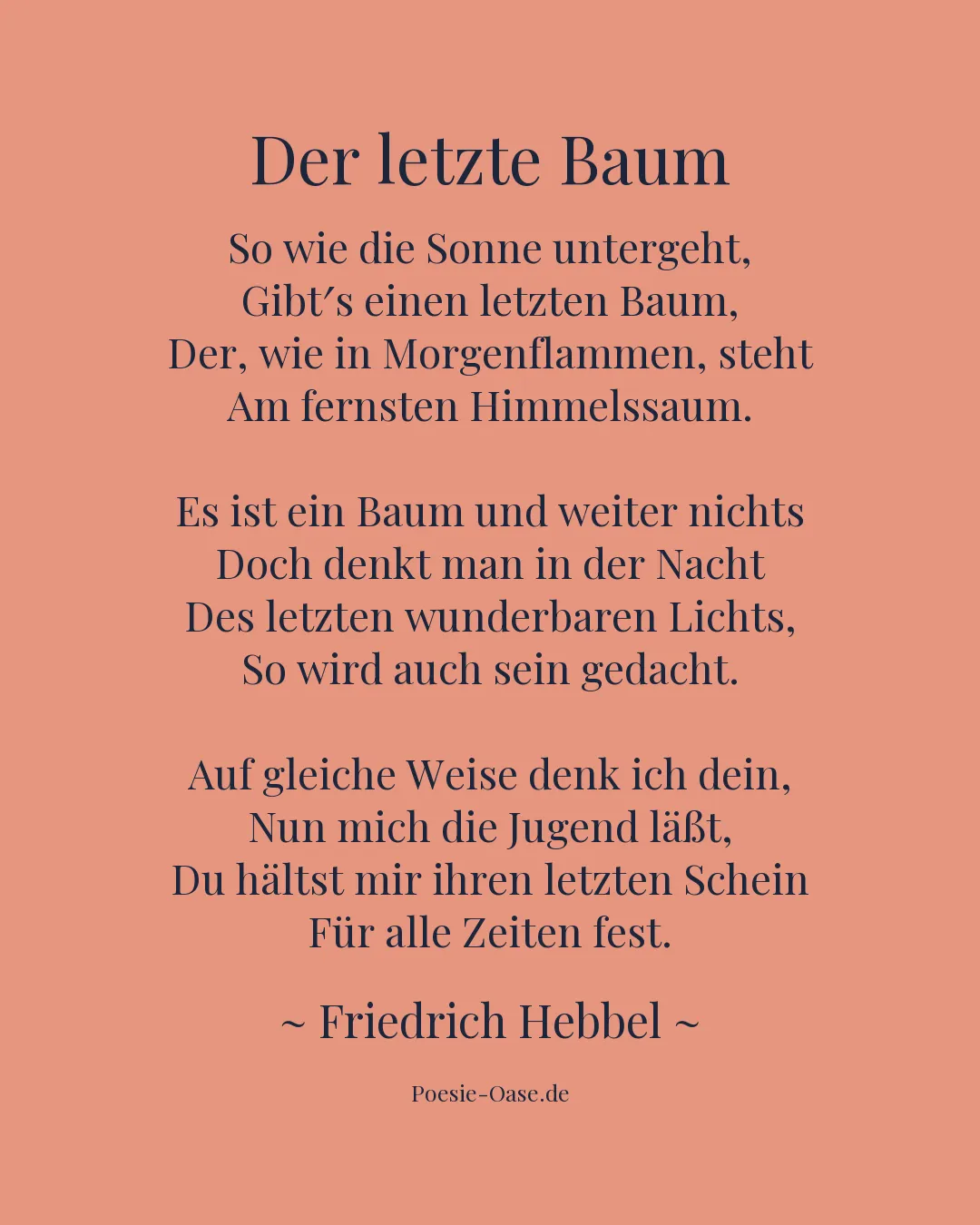 Illustration zu Der letzte Baum