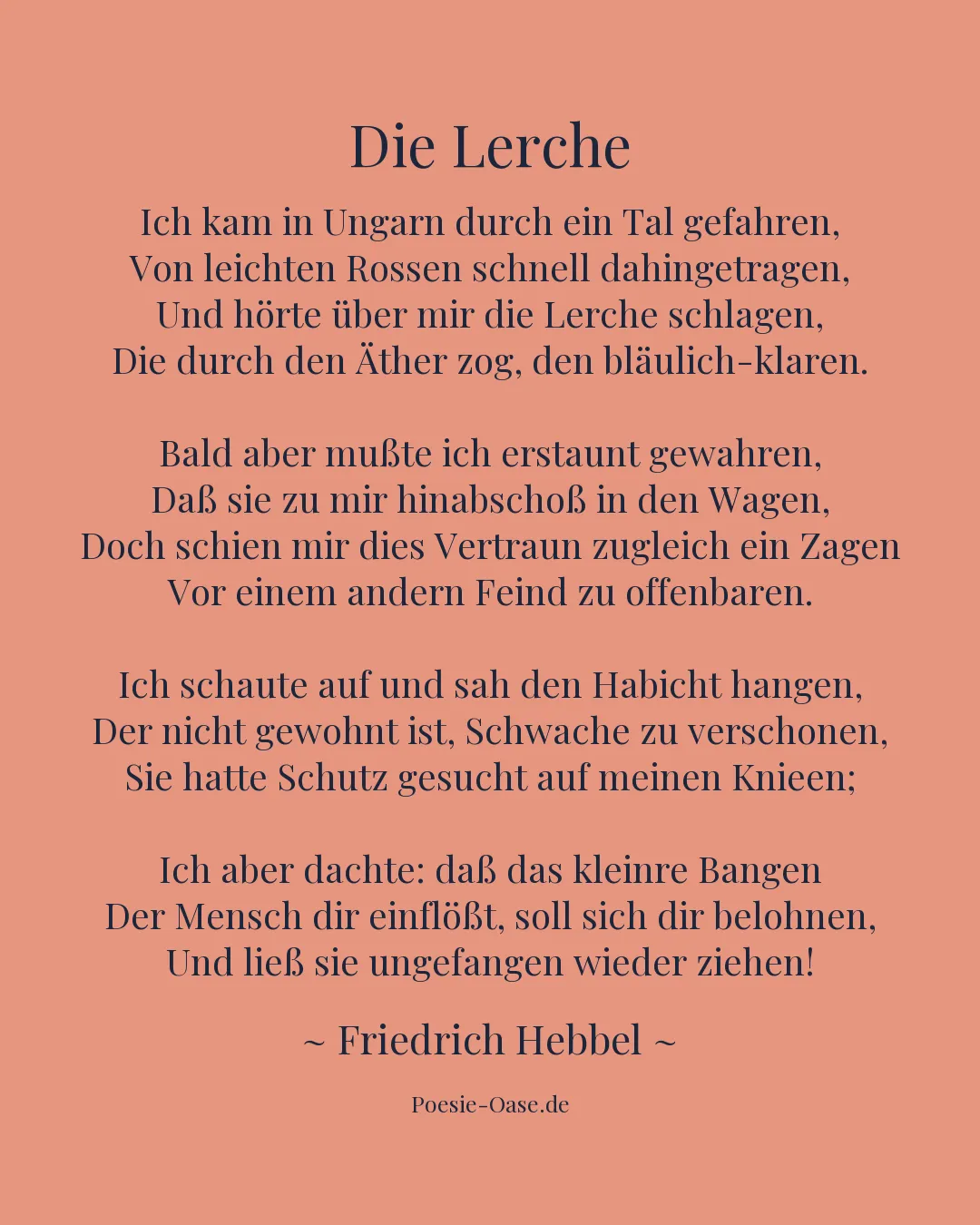Illustration zu Die Lerche