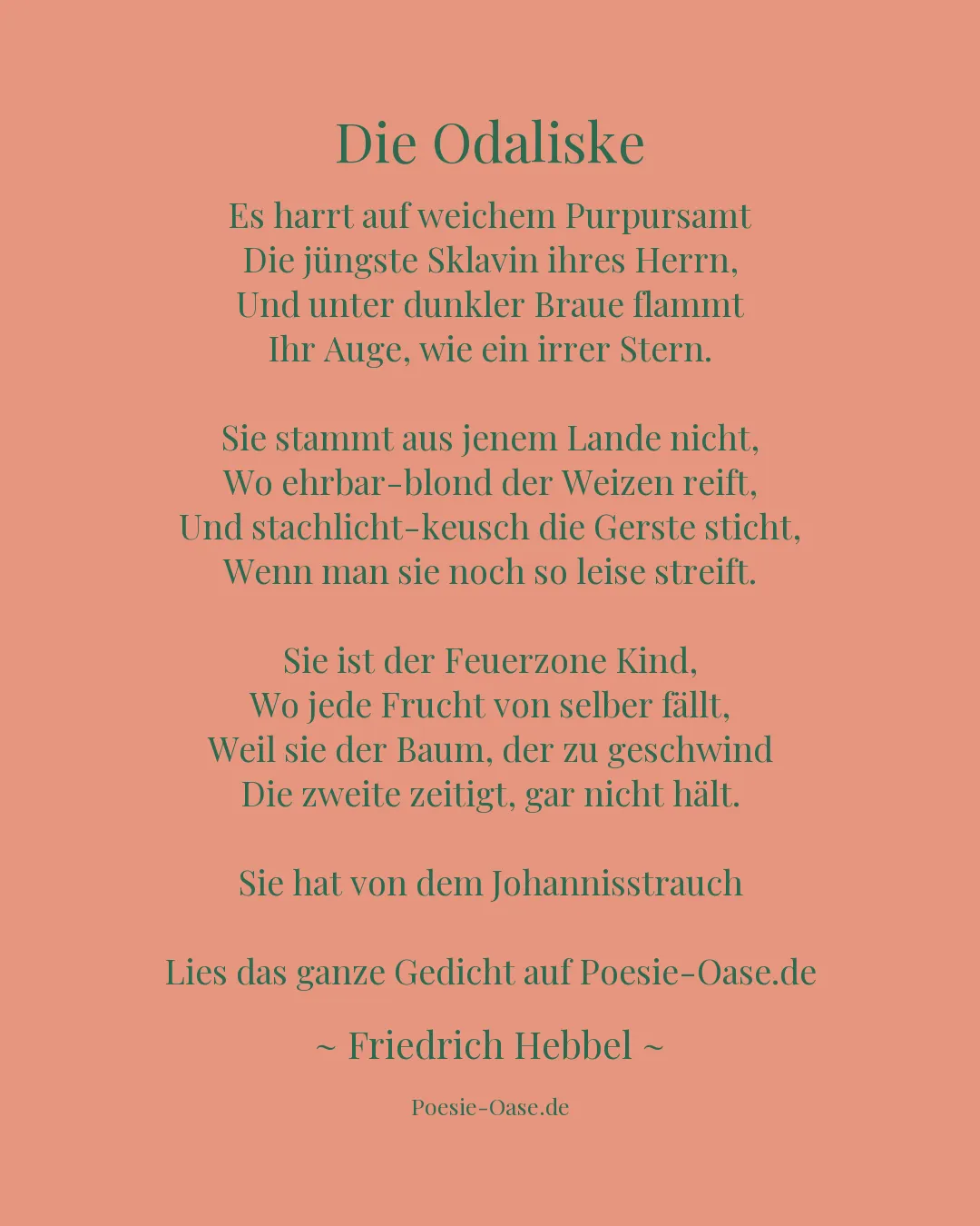 Illustration zu Die Odaliske