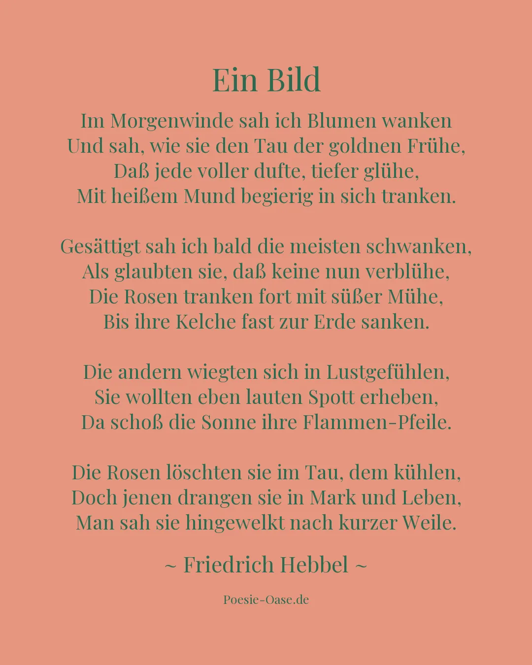 Illustration zu Ein Bild