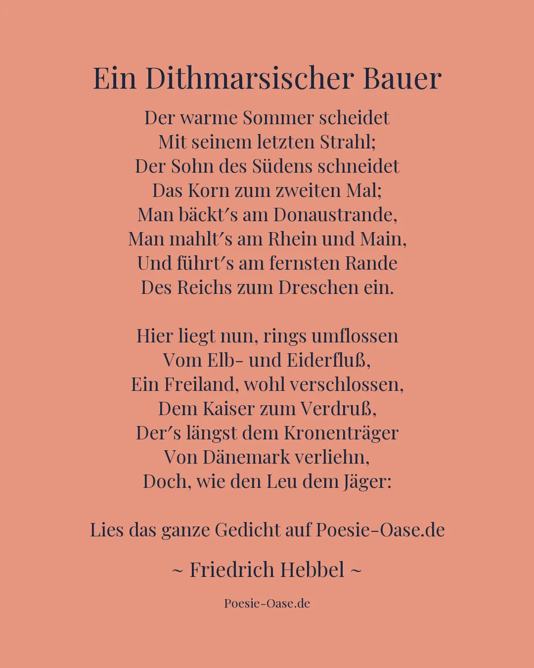 Illustration zu Ein Dithmarsischer Bauer