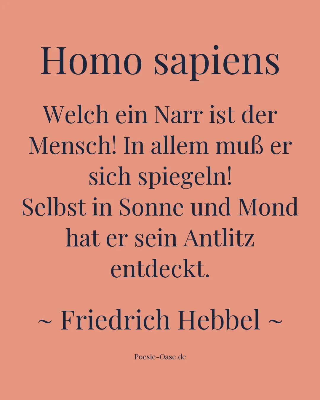 Illustration zu Homo sapiens