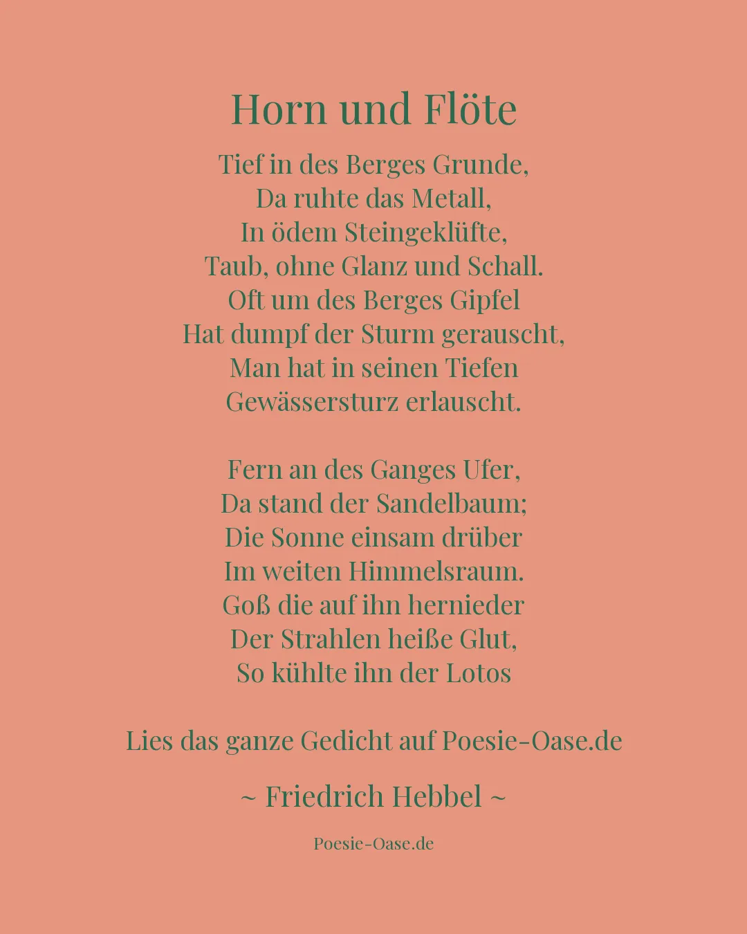 Illustration zu Horn und Flöte