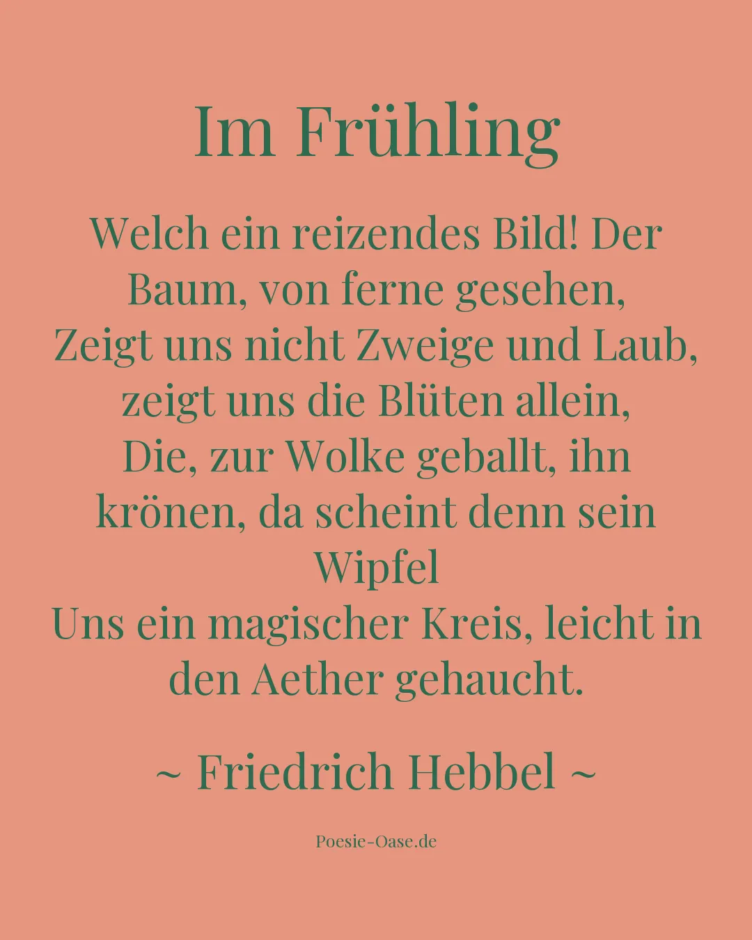 Illustration zu Im Frühling