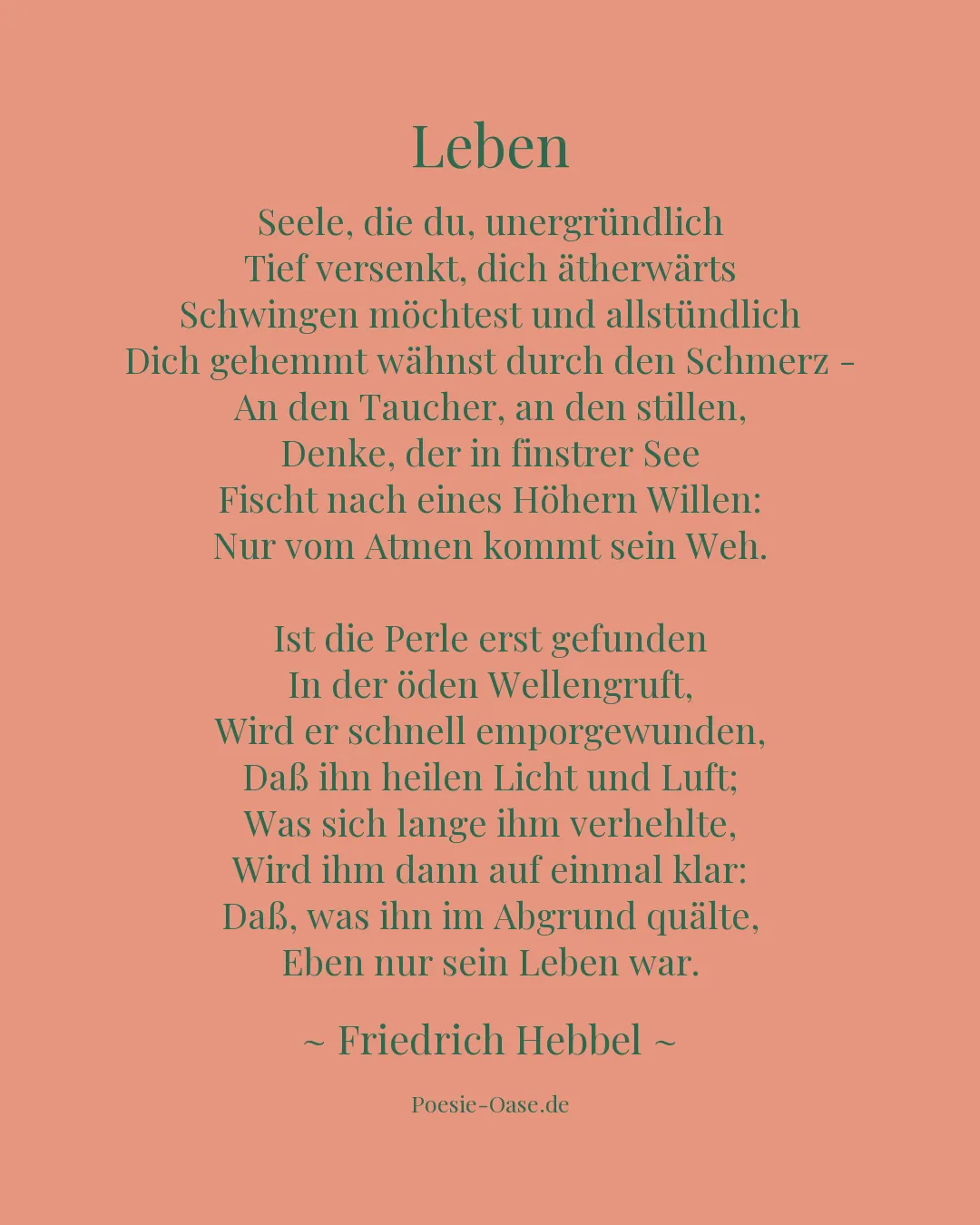 Illustration zu Leben